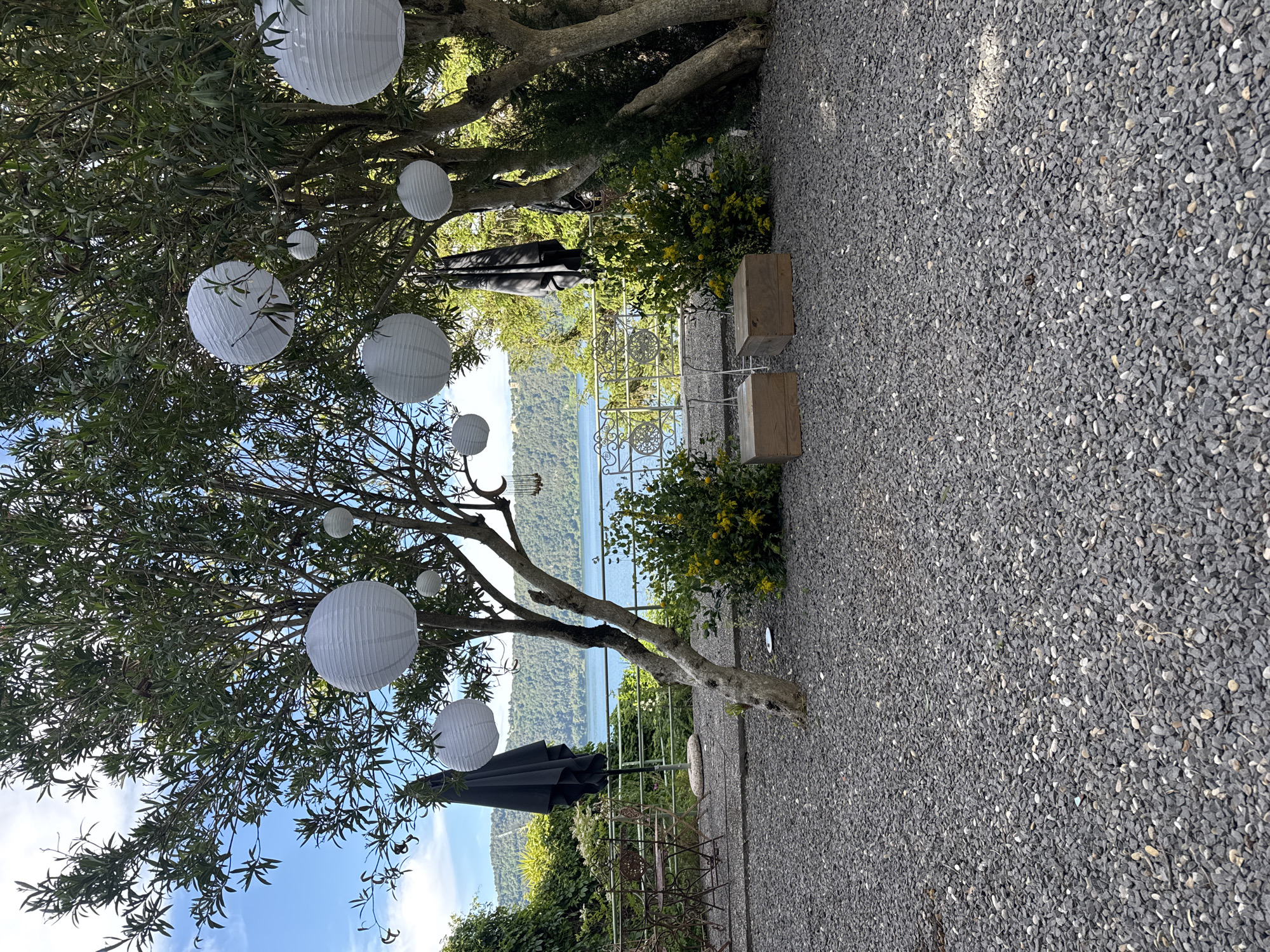 This image shows a partly shaded outdoor scene in Castel Gandolfo, Italy, overlooking a body of water, likely Lake Albano. The ground is covered in small, grey stones. A tree is decorated with white paper lanterns. A black umbrella is partly visible. In the background, a balustrade borders the edge of a view towards a green hillside across the water. Two wooden crates are situated beside a flowering shrub.