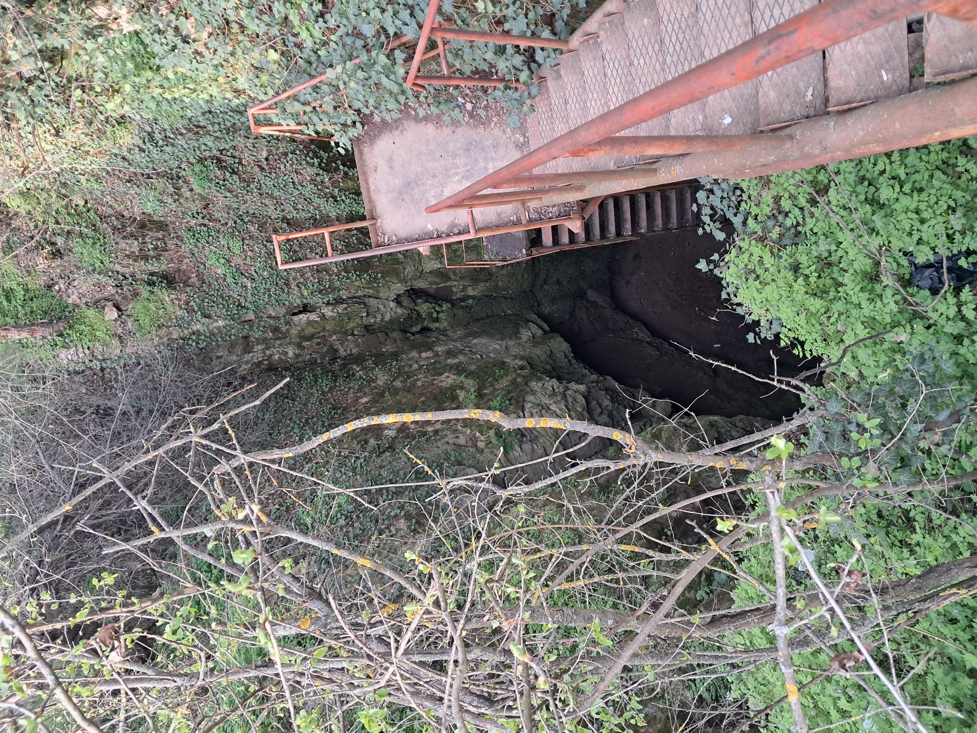 The image presents a view from above, looking down into a ravine or small canyon. A set of rusty, orange-red metal stairs with a platform at the top descends into the dark crevice. The surrounding area is densely vegetated with green plants and ivy, with bare tree branches in the foreground. The location appears to be a natural, possibly remote, area, and there are no indications of city-specific features. The city is Unknown. The state is Unknown.