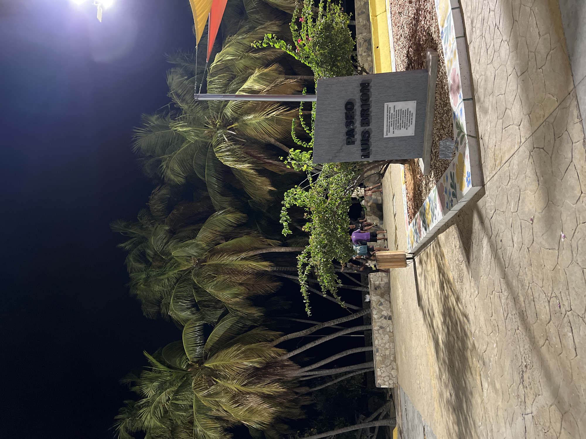 At night, in the city of Juan Griego, Venezuela, a paved walkway is illuminated by overhead lighting, casting shadows from palm trees. A monument with the inscription "PASEO LUIS BRION" stands prominently. The monument has a plaque with text in Spanish detailing "REPUBLICA BOLIVARIANA DE VENEZUELA MINISTERIO DEL PODER POPULAR PARA EL TURISMO" and other governmental information. Surrounding the monument is a border of colorful tiles featuring floral designs, and the ground is covered in gravel. Behind the monument, a group of people are visible, some standing and others sitting. A wooden trash receptacle is positioned to the left of the monument. The background is dominated by a dense collection of palm trees under a dark night sky, with a hint of a red and yellow awning visible at the top right.