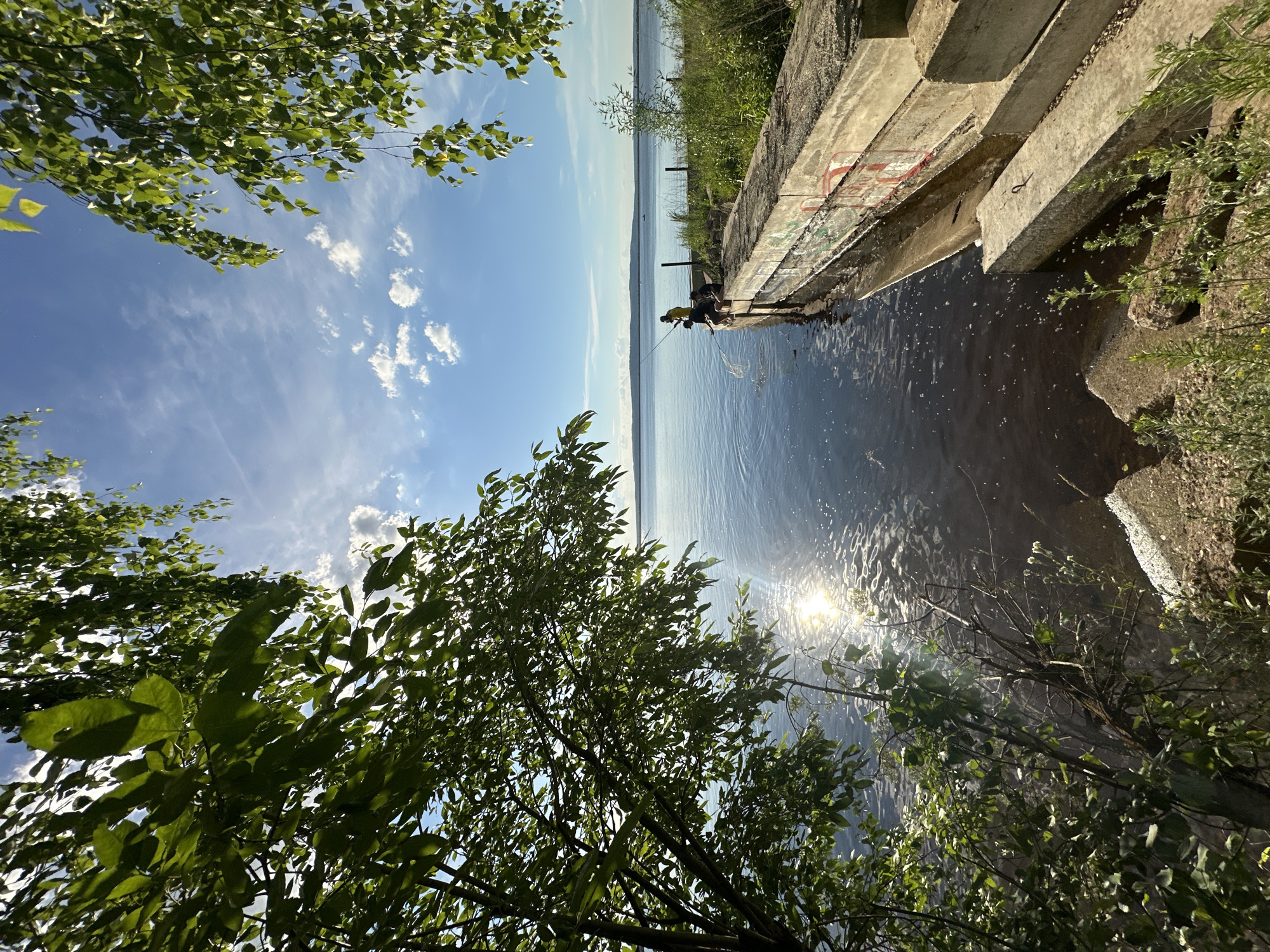 This image depicts a picturesque scene on the banks of the Kama River in Chaikovsky, Russia. The foreground is dominated by lush green foliage from trees, framing a wide expanse of calm, reflective water. The sun shines brightly, casting a shimmering path across the river's surface.
Along the right bank, a concrete embankment extends into the water. On this embankment, three individuals are engaged in fishing. One person, wearing a yellow shirt, is actively casting a fishing line. Another person sits beside them, and a third appears to be tending to a fishing net near the water's edge. The concrete structure bears some graffiti.
In the distance, the river stretches out towards a hazy horizon, with low-lying hills visible. The sky is a vibrant blue, dotted with scattered white clouds, indicative of fair weather. The overall atmosphere is one of serene outdoor leisure.