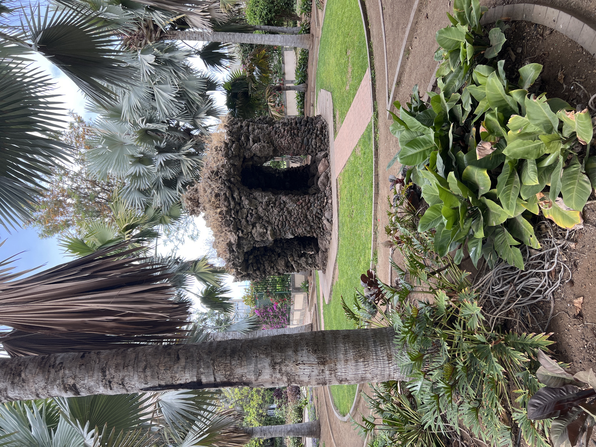 The image depicts a park scene in Las Palmas, Spain. Prominently featured are fan palm trees with silvery-blue foliage and tall, textured trunks. In the background, there is a grotto-like structure built of porous rock, appearing to be volcanic in origin. A pathway made of reddish-brown pavers leads to and through the grotto. The park also includes sections of green lawn, and a variety of other plants and bushes. The vegetation is dense, suggesting a well-maintained garden environment. The sky is partly visible through the tree canopy.