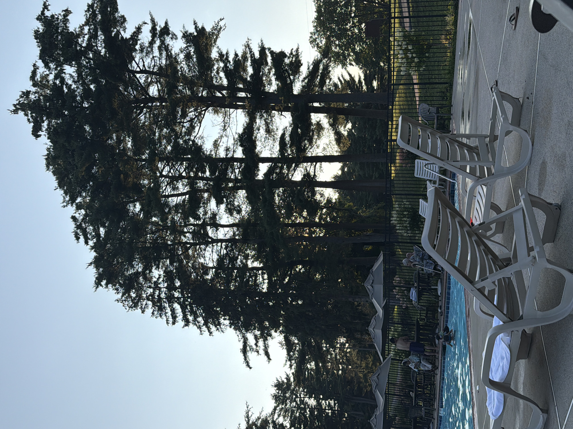 The image depicts an outdoor swimming pool area on a clear day, likely during late afternoon or early evening, with tall evergreen trees forming a backdrop against a pale blue sky. In the foreground, two empty, light-colored lounge chairs with white towels are positioned on a gray concrete surface. Beyond the lounge chairs, the swimming pool is visible, with a few people engaged in activities. One person is in the water, possibly a child wearing a blue swimming aid, while another adult stands near the pool edge. Several tables and chairs are set up under umbrellas near the pool, and some individuals are seated at these tables, including an older person with a cane. A black metal fence encloses the pool area. The overall environment suggests a recreational facility within a suburban or semi-rural setting, potentially a community center or a resort in Middle Smithfield Township, United States of America. The lighting indicates natural sunlight, casting soft shadows.