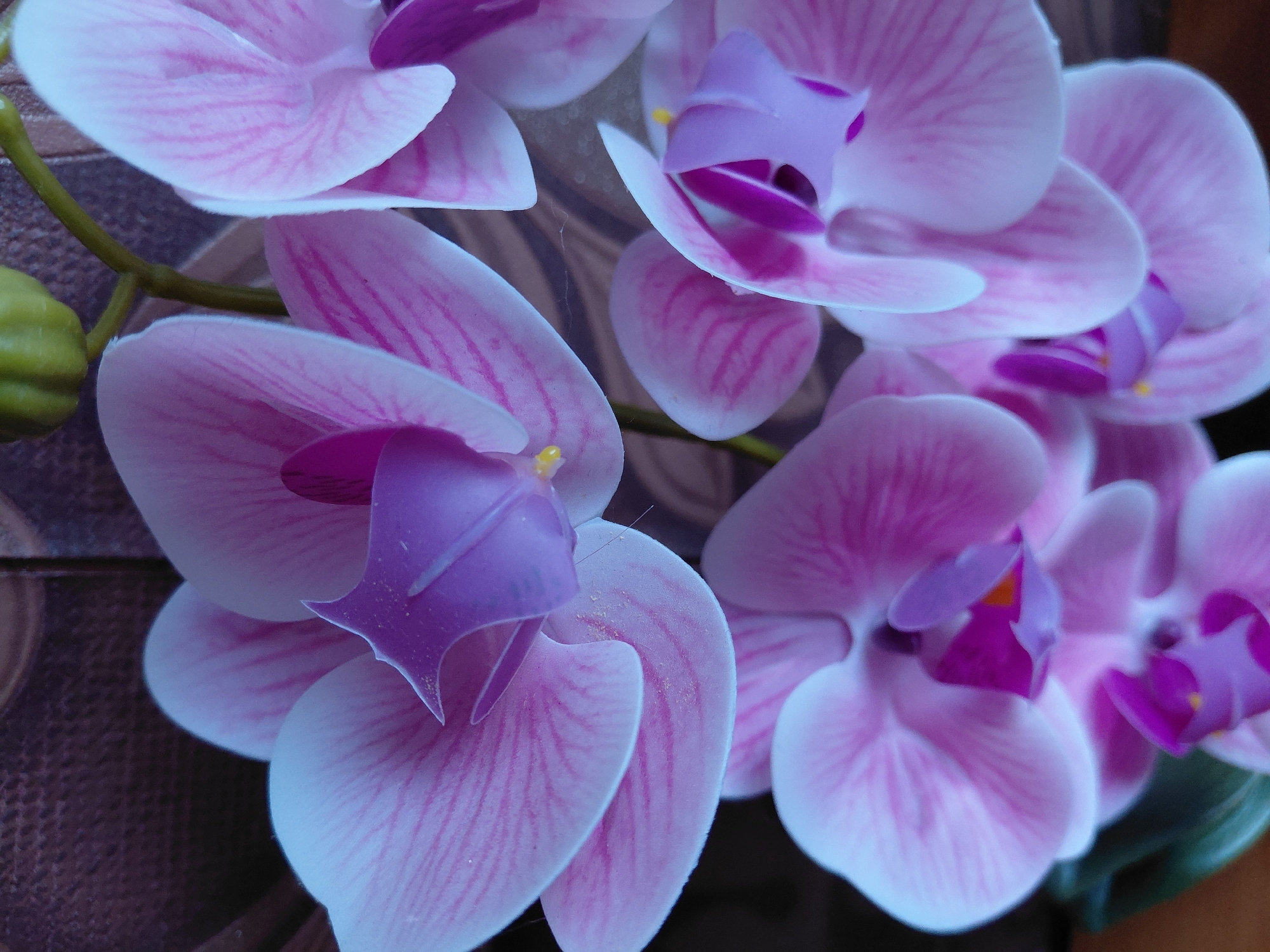 This is a close-up, vertically oriented, indoor photograph of artificial pink and white orchids against a textured, brown background. The lighting appears to be a cool tone, giving some of the petals a bluish hue. The orchids are in various stages of bloom, with intricate details visible in their petals and centers. The image does not depict any specific location in the city of Новосёлово, Russia.