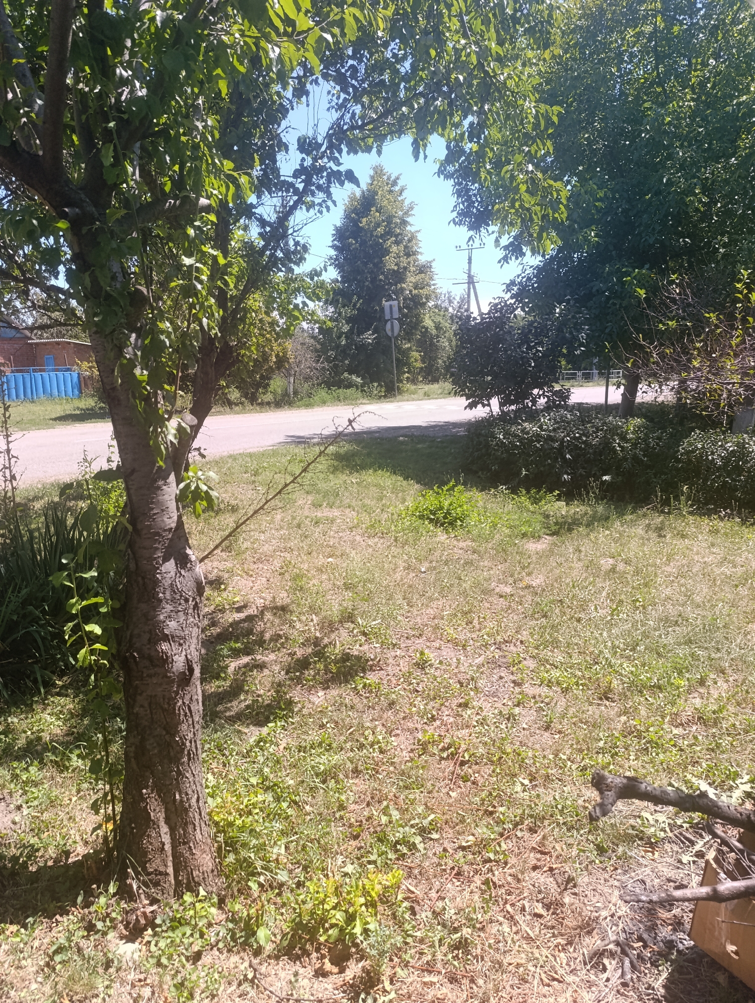 The image depicts a sunlit outdoor scene, likely a rural area or the outskirts of a town, specifically in Zaliznyi, Russia. In the foreground, a thick tree trunk with rough bark stands to the left, casting shadows on the dry, grassy ground. Scattered twigs and dry leaves are visible on the ground, along with some green vegetation. To the right, a portion of a wooden structure, possibly a box or bin, is partially visible, with a burnt area underneath and several branches.
Behind the tree, a paved road runs horizontally across the midground. On the left side of the road, a building with a red brick facade and blue fencing can be seen. Across the road, there are various trees and bushes, with a traffic sign and a utility pole in the distance. The sky is clear and blue. The overall impression is one of a warm, sunny day in a natural or semi-rural setting.