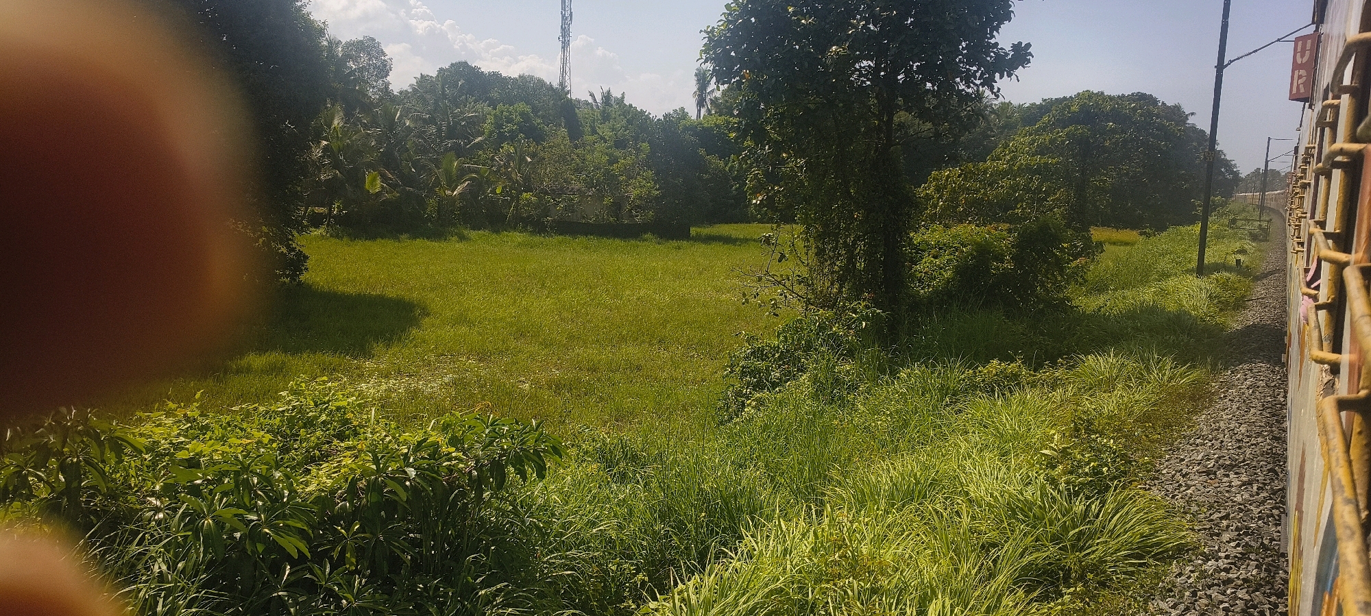 A long shot from a moving train shows a lush green landscape beside the tracks in Tanur, India. The foreground is dominated by tall, vibrant green grass and leafy plants, with a large blurry reddish-brown thumb obscuring the left portion of the frame. Beyond this, a flat, expansive field of shorter green grass stretches out, casting a distinct shadow from an unseen object. In the middle ground, a dense cluster of trees, including palm trees and other deciduous varieties, forms a thick wall of greenery. A tall cell tower stands visible above the trees in the distance. The right side of the image features the side of a train car, painted in yellow and red hues, with visible windows and metal bars, indicating the perspective is from inside the train. The train tracks, made of ballast stones, curve away into the distance, bordered by more greenery. The sky above is a pale blue with scattered white clouds, and the overall impression is one of a sunny, tropical environment.