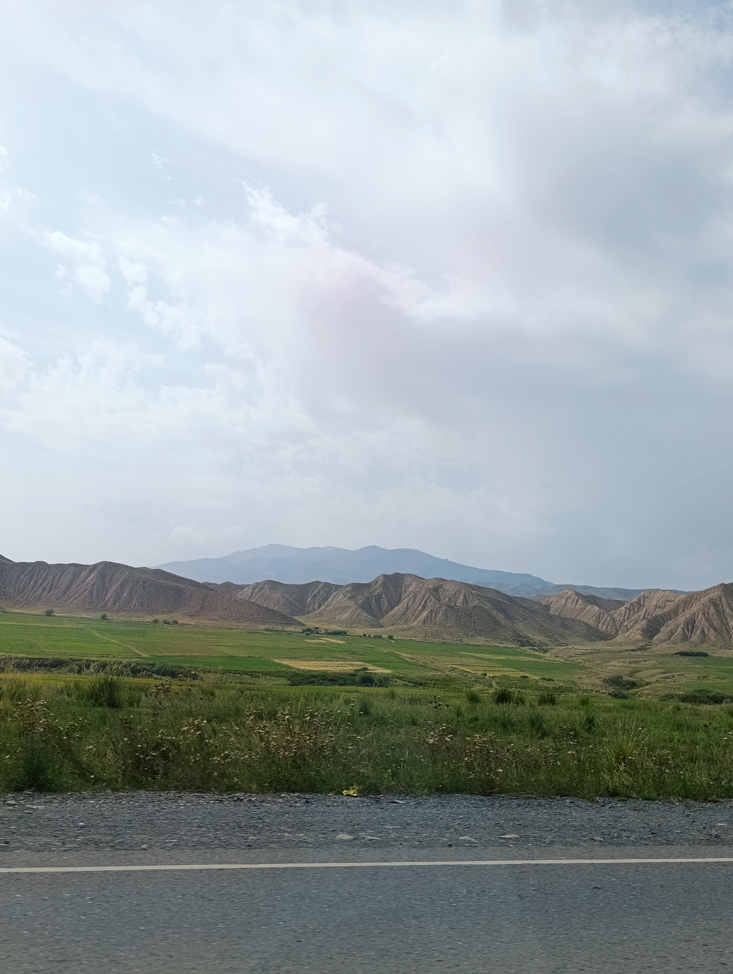 A scenic landscape photo captures rolling hills and cultivated fields under a cloudy sky. The foreground shows a paved road with a white line marking its edge, adjacent to a gravel shoulder. Beyond the road, a lush green field is visible, dotted with patches of wildflowers and taller grasses. The middle ground features a series of undulating, barren hills with a light brown hue, showcasing geological formations and erosion patterns. In the background, distant mountains rise, fading into a hazy blue silhouette against the sky. The sky itself is filled with large, soft white clouds, with a subtle pinkish glow in the upper portion, suggesting either the sun behind the clouds or a lens flare. The overall impression is one of a vast, natural environment with signs of human agriculture. This scene is located in the vicinity of Kyzyl-Jyldyz, Kyrgyzstan, a region known for its diverse topography.