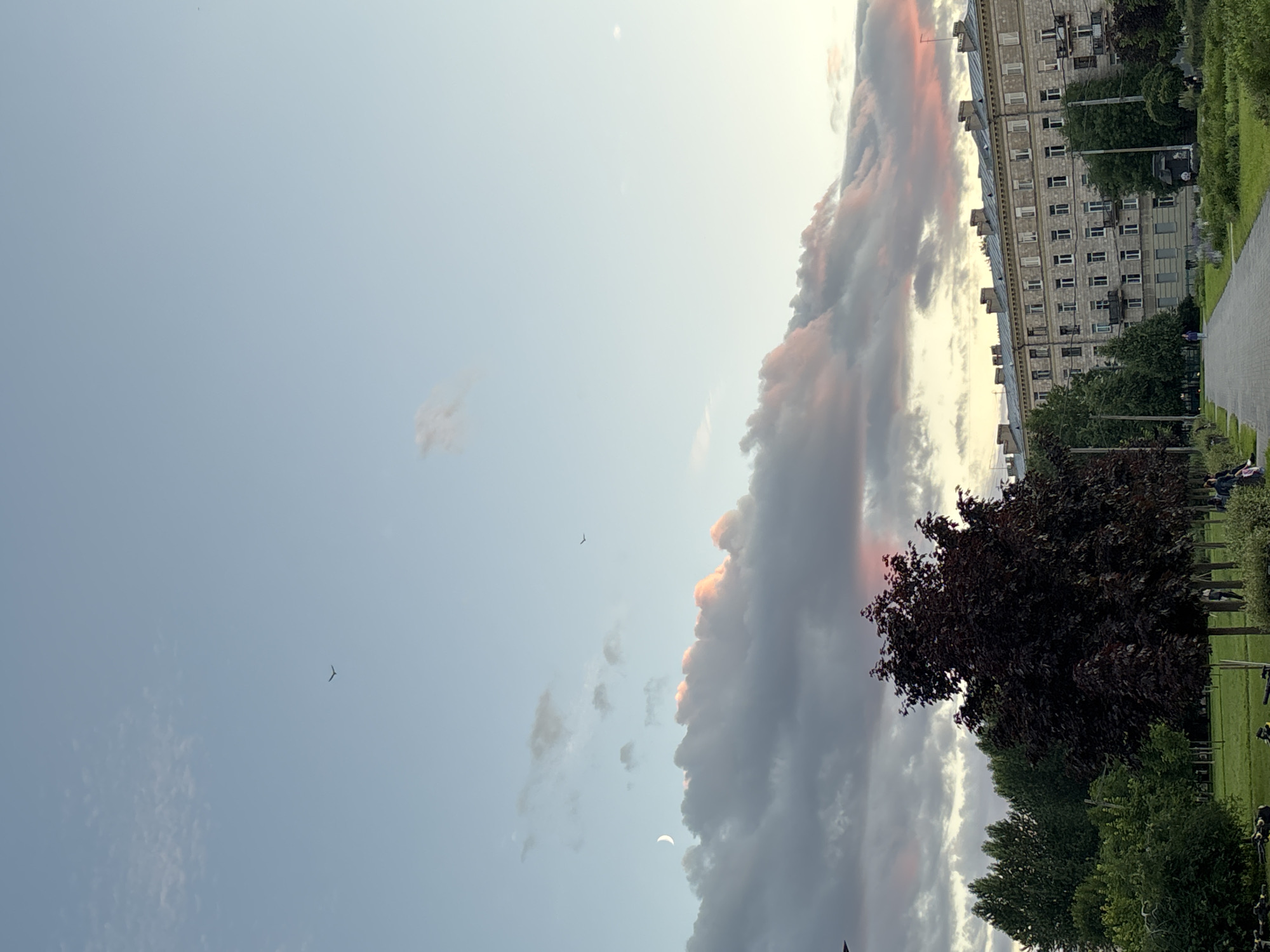 A wide-angle, vertical photograph captures an urban park scene at dusk in Saint Petersburg, Russia. The sky dominates the upper two-thirds of the frame, a pale blue gradient fading into lighter tones near the horizon. Wispy white clouds drift across the sky, some tinged with soft pink and orange hues from the setting sun. A crescent moon is visible in the upper left portion of the sky, and two birds are silhouetted against the sky in the distance.
Below the sky, a row of trees forms a dark silhouette along the bottom edge of the frame, obscuring much of the ground level. The most prominent tree in the foreground is a dark-leafed specimen with an umbrella-like canopy. Beyond this, a paved pathway curves through the park, bordered by green grass. In the background, a long, multi-story building with a classical architectural style stretches across the mid-ground. The building is constructed of light-colored stone and features numerous windows, balconies, and a distinctive roofline with alternating pilasters and recessed sections. Several figures are faintly visible walking on the pathway and sitting on benches, indicating the presence of people in the park. The overall atmosphere is serene and indicative of an early evening in an urban setting.