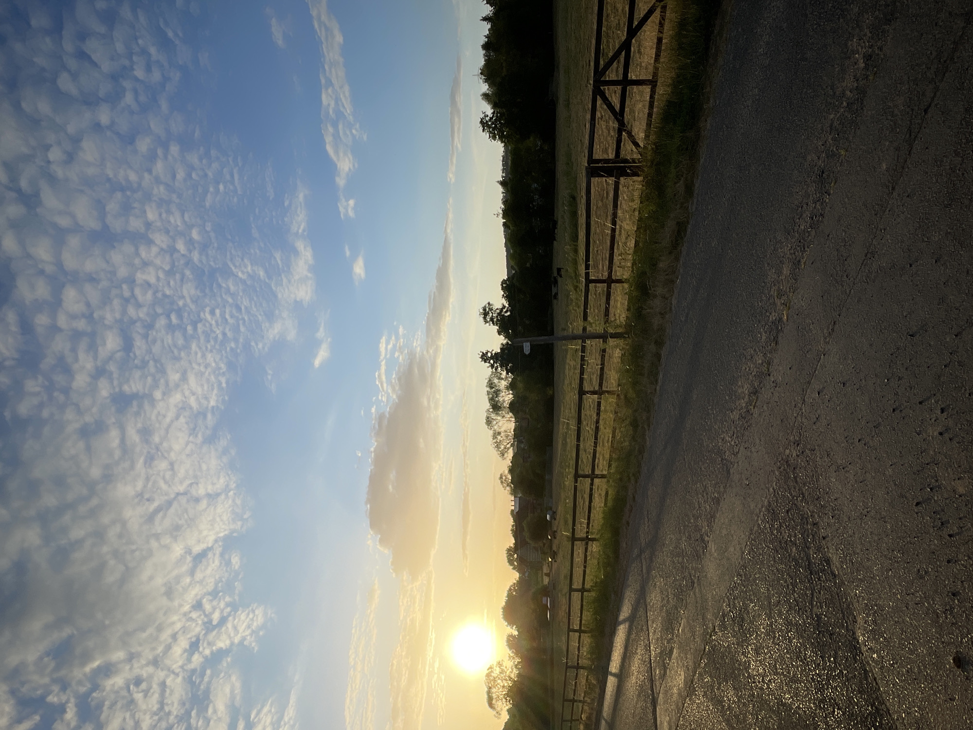 The image depicts a rural landscape at sunset, likely in the vicinity of Rückershausen, Germany. The foreground features an asphalt road with dappled sunlight reflecting off its surface. A wooden fence runs along the edge of the road, separating it from a field. The field contains some dark-colored shapes that could be cattle, and in the distance, a line of trees forms a natural barrier. The sky is a mix of blue and white, with scattered clouds illuminated by the setting sun on the left side of the frame. The sun is a bright, yellow orb, casting a warm glow over the scene. The overall impression is one of a peaceful, pastoral evening.