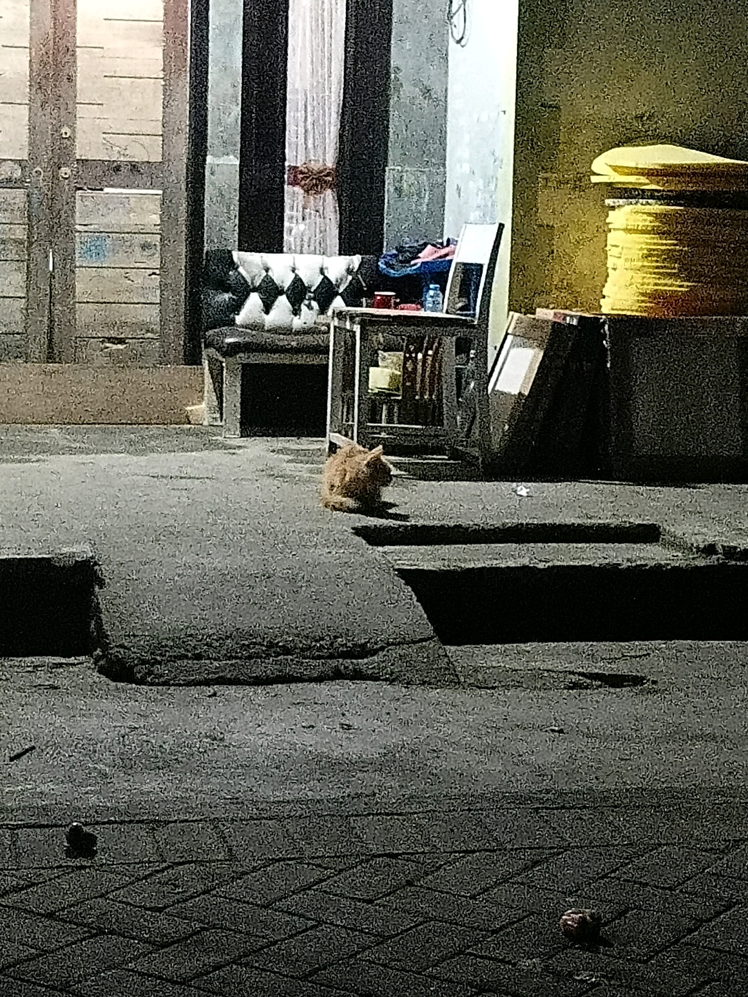An orange cat is sitting on a concrete ledge in front of a building. The building has a wooden door and black and white striped curtains. To the right of the curtains is a chair with a white and black diamond-patterned seat. Behind the chair is a stack of yellow items, possibly rolled-up mats or cushions. The ground in front of the ledge is paved with dark bricks. There are some small dark objects on the bricked ground, possibly debris. The scene appears to be outdoors at night, with artificial lighting casting shadows. The image is grainy due to low light conditions. The location is specified as Cikal, Indonesia.