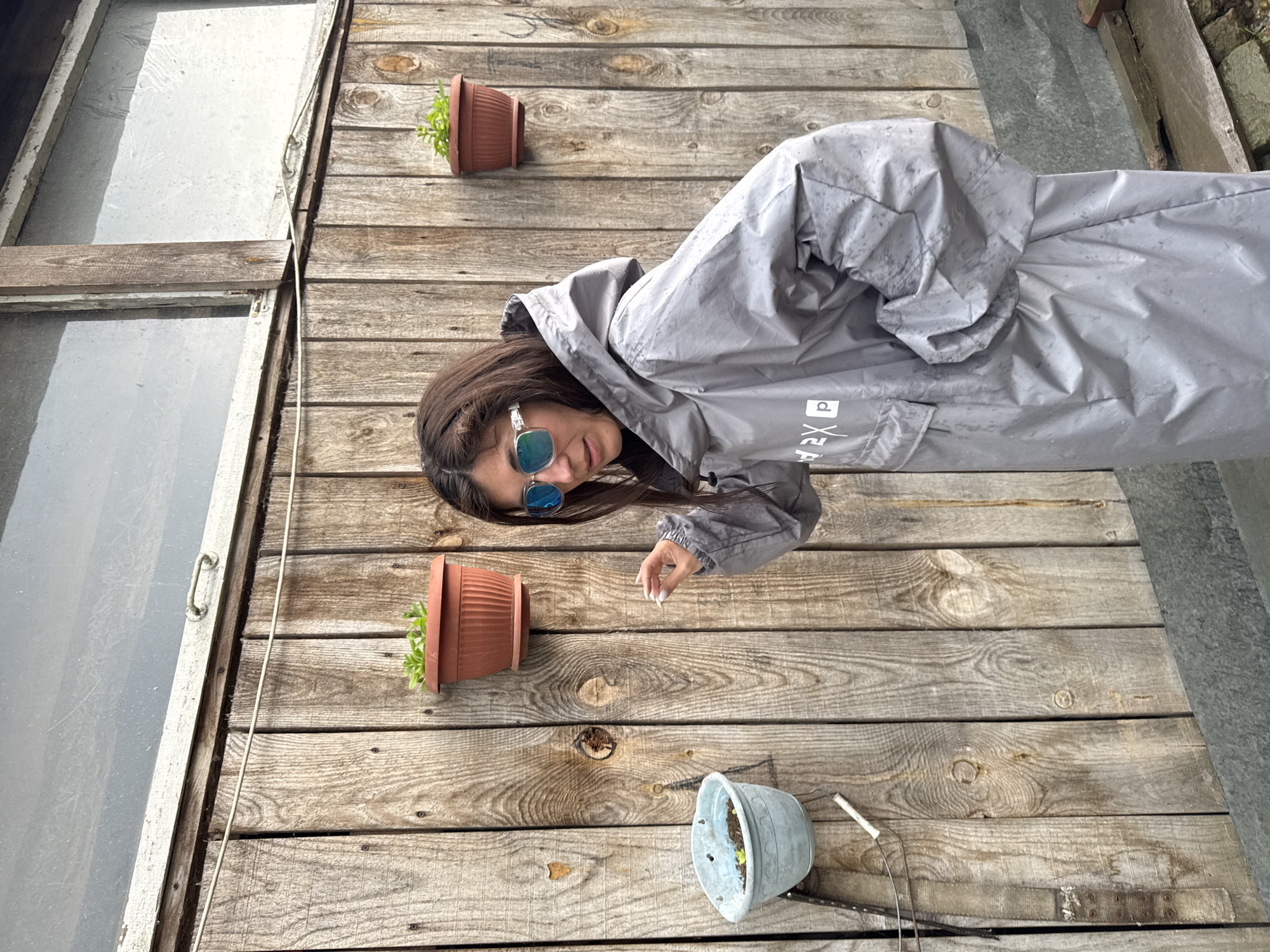 A full shot shows a woman standing outdoors in front of a weathered wooden wall. The woman is wearing a grey, hooded poncho with a logo that appears to read "DEX P". She has on blue-tinted sunglasses and her dark hair is down. She is looking to her left and has her right hand raised, as if pointing at something on the wall. There are two potted plants on the wall, one to the left of the woman and one to her right. The wall itself is constructed of vertical wooden planks with visible knots and grain. A portion of a window frame is visible at the top of the image. The ground in front of the wall is covered with greyish material. The scene appears to be in Вассята, Russia, likely in a yard or outdoor area of a building.