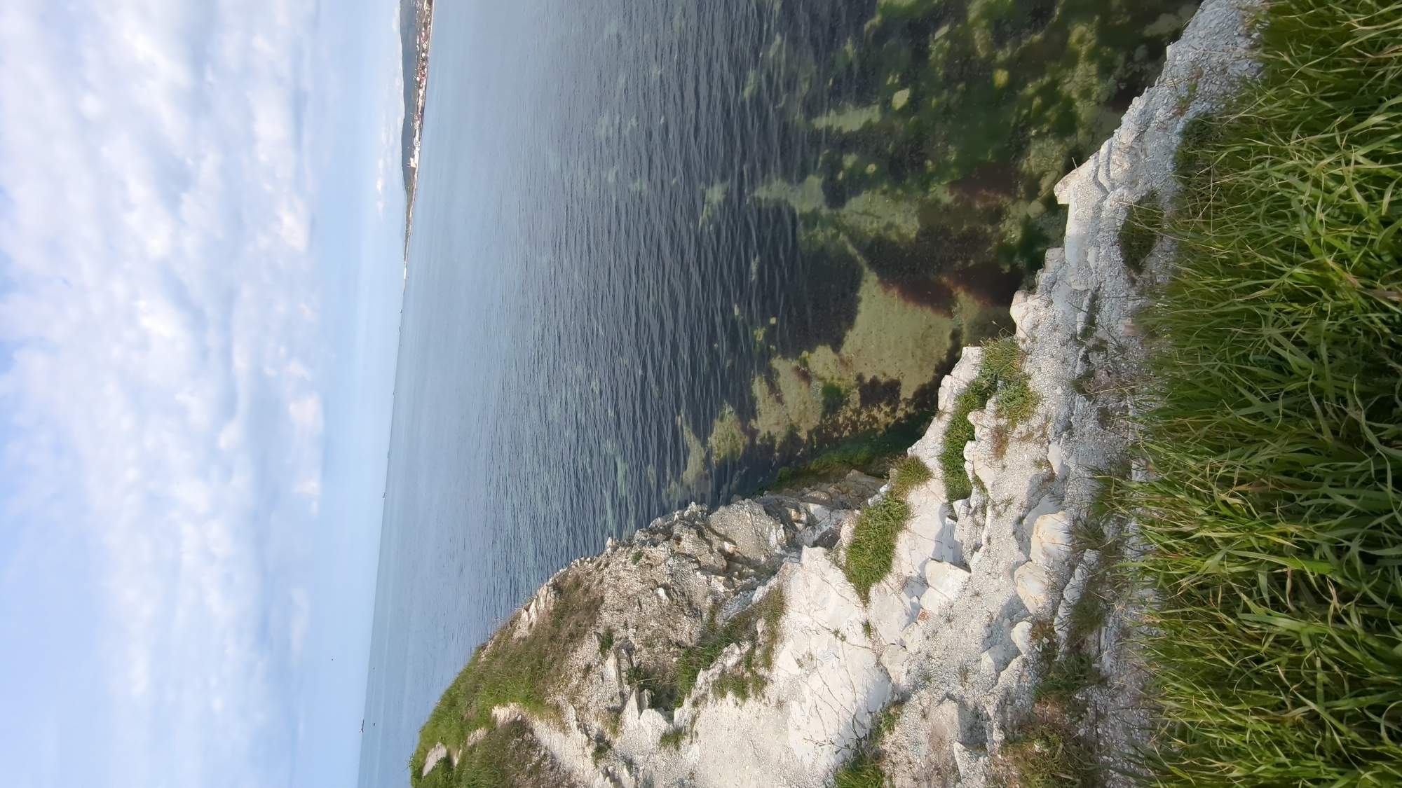 The image presents a serene coastal landscape overlooking the Black Sea near Gelendzhik, Russia, viewed from an elevated vantage point, likely a cliff. The upper left portion of the frame is filled with a clear, light blue sky dotted with scattered white, wispy clouds.
The expansive sea dominates the mid-ground and left side of the composition. Near the rocky shore, the water is remarkably transparent, allowing the viewer to see the seabed beneath. This underwater terrain features a mosaic of dark green and reddish-brown seaweed growth interspersed with lighter, sandy or rocky patches. Further out, the sea deepens, appearing a darker blue-grey, with gentle ripples visible on its surface. Along the distant horizon, a faint outline of a coastal town or city with buildings can be discerned, indicating human settlement.
The immediate foreground and right side of the image are characterized by rugged, light-colored rocky cliffs. These jagged rocks are partially covered by lush, vibrant green grass and other sparse vegetation, which thrive in the crevices and along the clifftops. The scene evokes a sense of natural beauty and tranquility, captured on a clear day with calm weather, likely during the morning or early afternoon. No people, prominent man-made objects like boats, or visible text are present in the image.