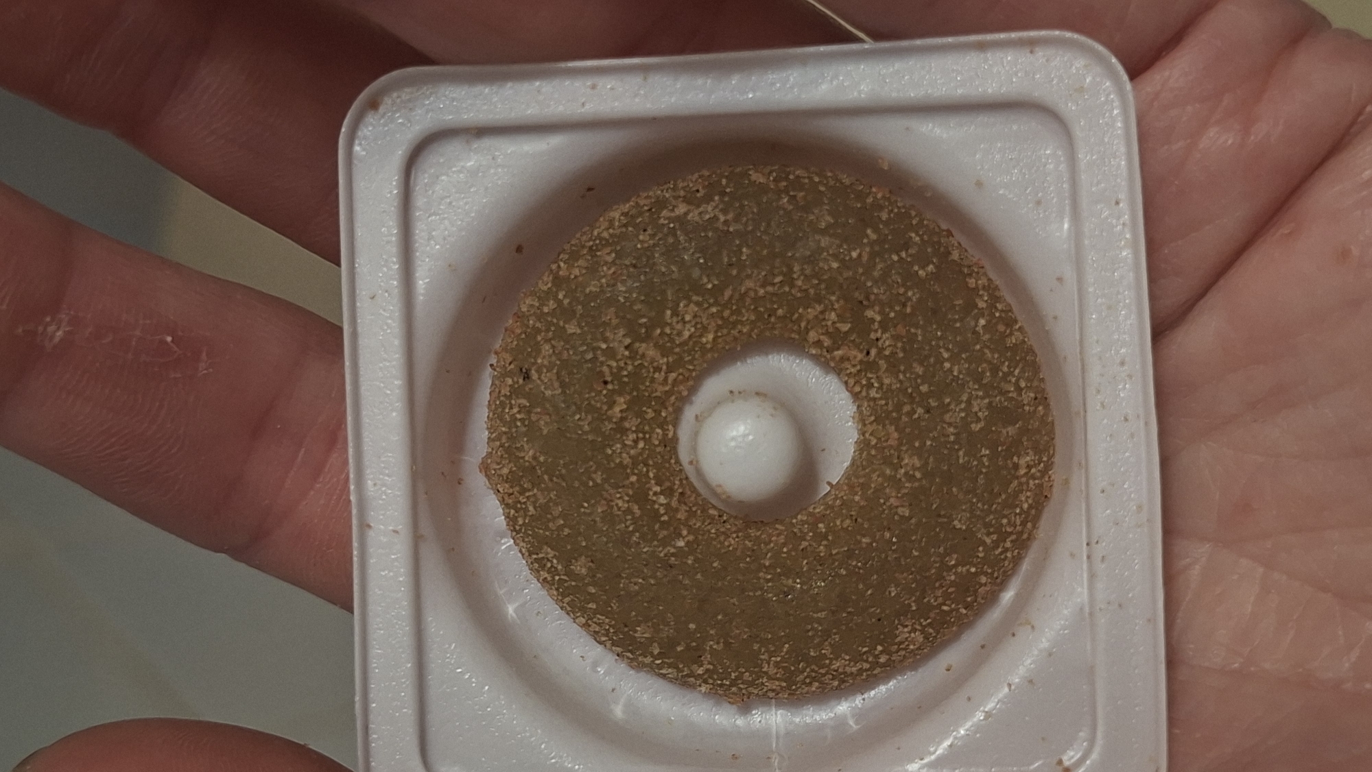 A close-up, overhead shot shows a person's hands holding a small, white, square plastic container. Inside the container is a single, round, donut-shaped object. The object appears to be a gummy candy or a small pastry, and it is a light brown color with a rough, sandy texture on its outer surface. The center of the object is open, revealing a small, raised white bump in the plastic container. The background is a light, neutral color. The lighting is even and soft, suggesting an indoor setting. The image is sharply focused on the container and its contents, with the hands and surrounding environment slightly blurred.