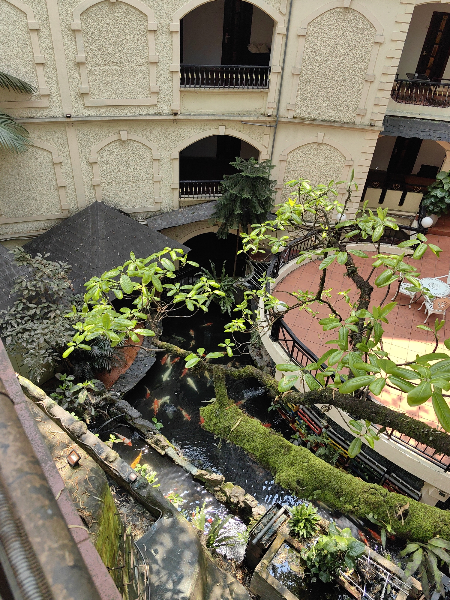 The image displays an elevated view into the central courtyard of the Aira Boutique Sapa Hotel in Sa Pa, Vietnam. A large, multi-level koi pond occupies the lower and central sections of the courtyard, containing numerous koi fish of orange, white, and red-and-white coloration. The pond features dark water and is bordered by rocks, some covered in green moss. Several large tree branches, heavily coated in bright green moss, extend horizontally over the pond. A prominent tree with vibrant green leaves grows upwards from the lower left, partially obscuring a circular patio.
To the right, a circular patio with terracotta-colored tiles is visible, furnished with two white, ornate metal tables and several matching chairs. This patio is enclosed by a black metal railing with white spherical light fixtures. To the left, a dark-tiled gazebo-like roof structure is situated amidst dense green foliage, including a coniferous tree and various other plants.
The courtyard is surrounded by the hotel's multi-story building, characterized by cream-colored, textured stucco walls and decorative arched recesses. The upper floors feature balconies with dark frames and black metal railings accented with gold elements. No individuals or specific actions are depicted within the scene. The area is well-lit, suggesting daytime conditions.