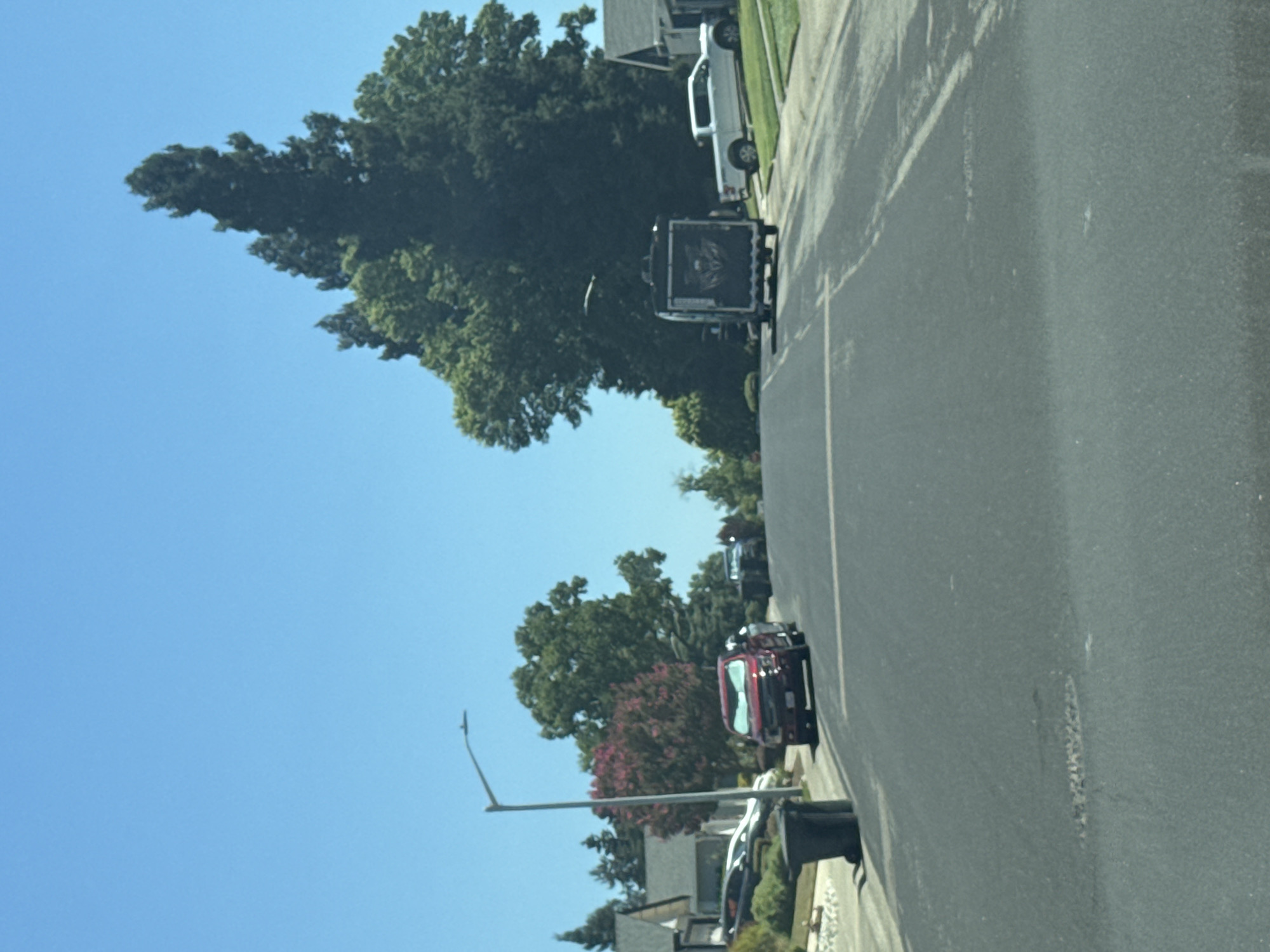 A sunny day in Roseville, California, United States of America, shows a residential street with several vehicles and trees. The street is paved with asphalt and has visible lane markings. On the left side of the street, two dark grey trash bins are placed on a sidewalk. A red truck is parked on the street, facing away from the camera. Further down the street, a black trailer with a graphic design on the back is visible. To the right of the trailer, a white pickup truck is parked on a grassy lawn. A tall street light stands on the left side of the road. The background is filled with lush green trees and a clear blue sky.