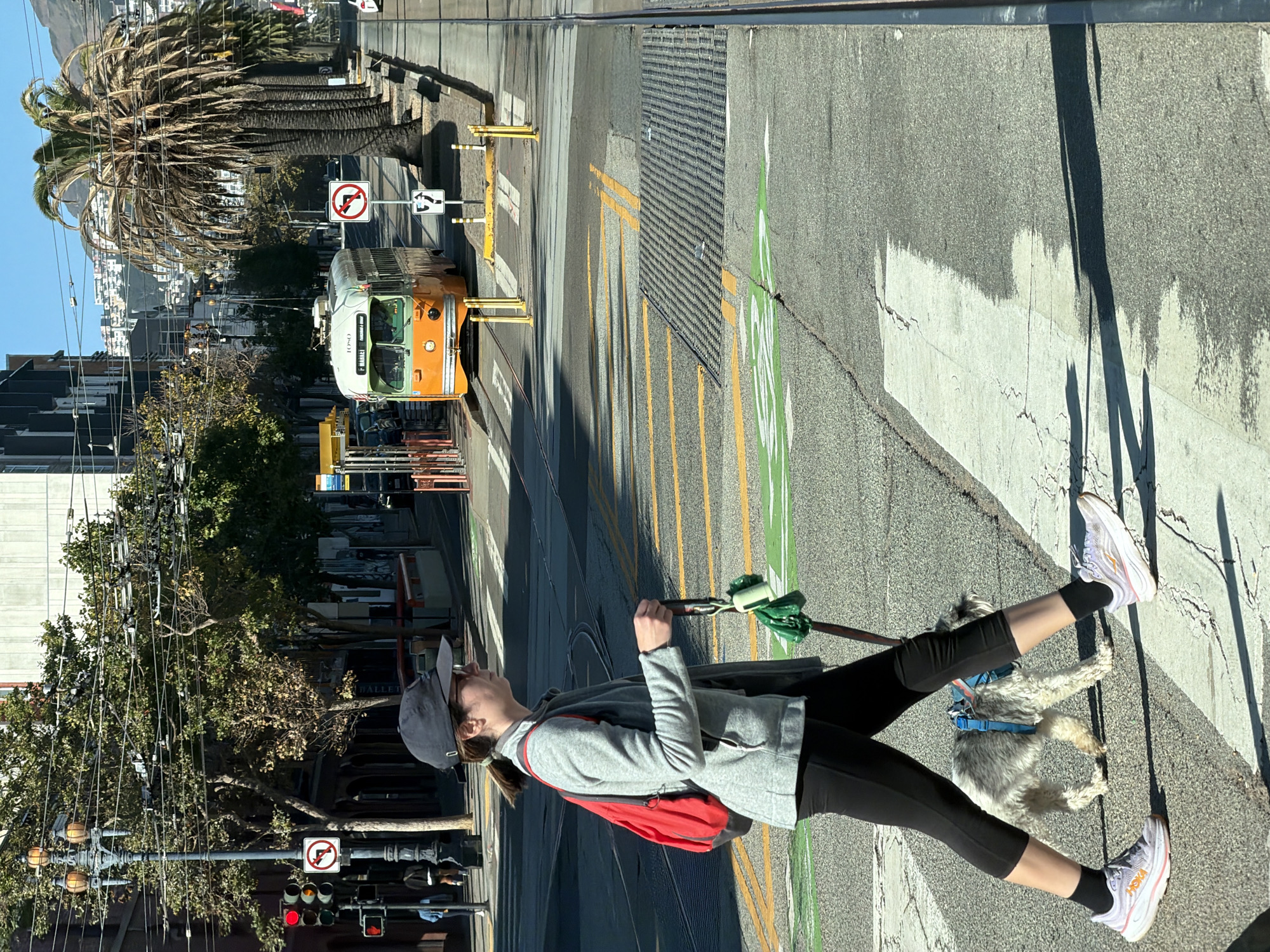 The image captures a sunny daytime scene in San Francisco, USA. A woman wearing a grey jacket, black leggings, and a dark baseball cap is walking her small, scruffy grey dog across a crosswalk. She has a red backpack on her left shoulder and is holding a leash attached to the dog, along with a bright green bag containing dog waste bags. The dog is wearing a blue harness. The woman and dog are on the right side of the frame, moving from left to right.
In the background, an orange and green trolley car is visible on the tracks, stopped at a platform. Palm trees line the right side of the street, with the cityscape of San Francisco and buildings visible on the hills in the distance. Traffic lights and street signs, including a "no left turn" sign, are present. The ground is paved with asphalt and concrete, with clear crosswalk markings and green bike lane symbols. Overhead power lines for the trolley are strung across the street. The overall impression is a typical urban street scene in San Francisco.