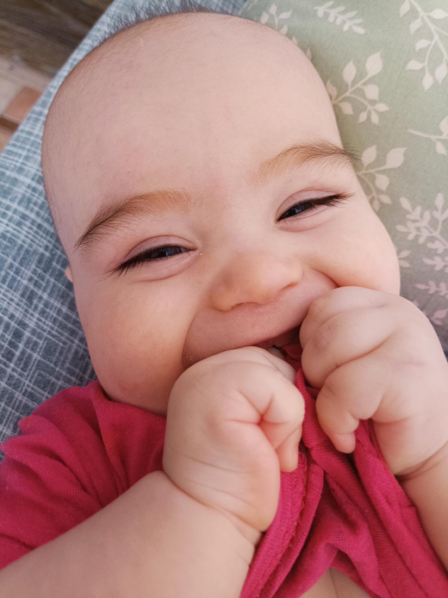 A close-up, high-angle shot captures a joyful baby, likely lying down, looking directly at the viewer. The baby has fair skin, plump cheeks, light brown eyebrows, dark eyelashes, and dark, crinkled eyes, suggesting a wide smile. Its mouth is not fully visible, but the upward curve of the cheeks confirms a cheerful expression. Both of the baby's small, dimpled hands are clasped together near its chin, clutching a bright pink piece of fabric, presumably its own shirt.
The baby's head appears mostly bald with some fine, light-colored hair at the hairline. Two distinct patterned fabrics frame the baby: on the left, a blue-grey fabric with a subtle plaid or grid pattern is visible, and on the right, a light green fabric with a delicate white leaf and stem pattern can be seen. These fabrics suggest the baby is resting on a soft surface, possibly a pillow, blanket, or in a bouncer with patterned covers. The lighting is soft and even, highlighting the baby's smooth skin. No specific location cues are visible within the image, other than the provided context that it is from Noviy, Russia. There is no visible text. The overall mood of the image is one of pure happiness and innocence.