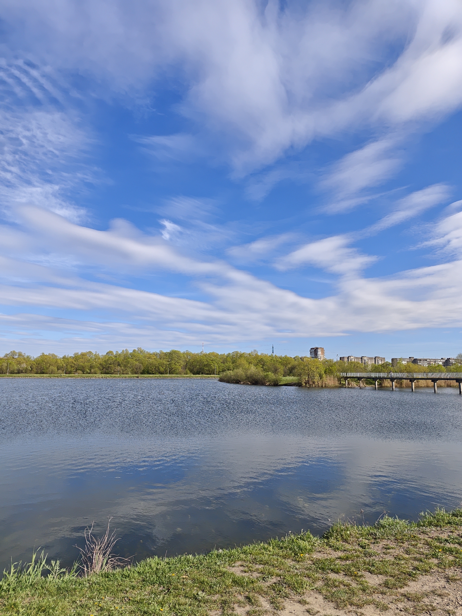 This image presents a serene outdoor landscape centered around a calm body of water, likely a lake or large pond, under a bright blue sky. The water, gently rippled by a breeze, reflects the clear sky and scattered white clouds. In the foreground, a narrow strip of green grass and dry vegetation borders the water's edge.
Across the water, a dense line of lush green trees forms the distant shoreline, suggesting a park or wooded area. To the right of the frame, beyond these trees, several multi-story residential buildings are visible, indicating an urban or suburban setting. A long, low bridge or pier, supported by concrete pillars, extends over the water from the right, appearing to connect to a small landmass or the opposite bank. A tall, slender tower structure is faintly discernible in the far distance, behind the tree line on the right.
The sky is a striking blue, adorned with numerous elongated, wispy cirrus clouds that stretch horizontally across the frame, suggesting movement in the upper atmosphere. The bright illumination points to a sunny day, likely in spring or early summer given the vibrant green foliage. No human activity or people are depicted, contributing to a peaceful and tranquil ambiance. This scene captures a blend of natural beauty and urban proximity, characteristic of a recreational area in Ivano-Frankivsk, Ukraine.