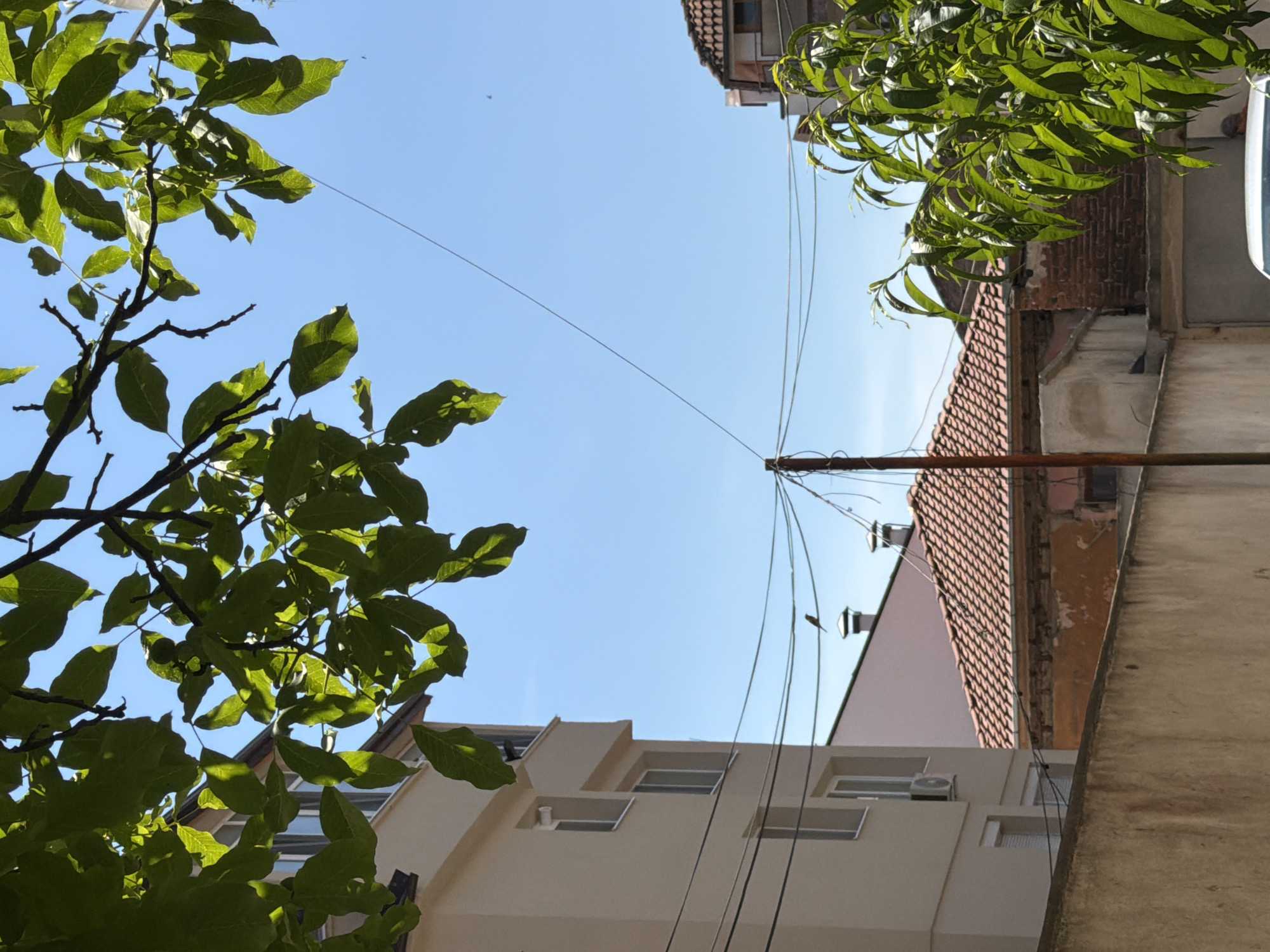 The image captures an outdoor scene in the city of Pazardzhik, Bulgaria, likely during daylight hours given the clear blue sky. In the foreground, a rough, textured concrete wall runs horizontally across the lower portion of the frame. Above the wall, a building with a light-colored facade and visible windows, including one with an air conditioning unit, occupies the left side of the image. Behind this building, a roof with red tiles is visible, indicative of typical Balkan architecture. Interspersed throughout the scene are numerous overhead wires, some taut and others slack, supported by a wooden pole. Lush green foliage from trees hangs into the frame from the top, with some leaves obscuring parts of the sky and buildings. The presence of architectural elements and overhead wires suggests an urban or semi-urban environment.
