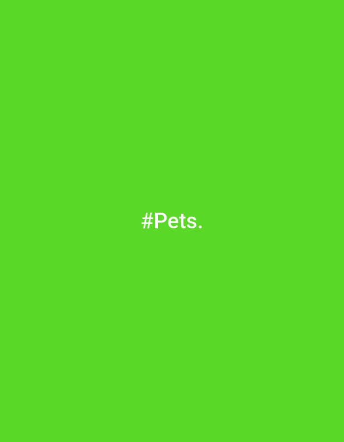The image is a solid, vibrant green background. Centered on the background is the white text "#Pets." There is no discernible location in Dunnae-myeon, South Korea, or any other details about people, subjects, objects, actions, or interactions.