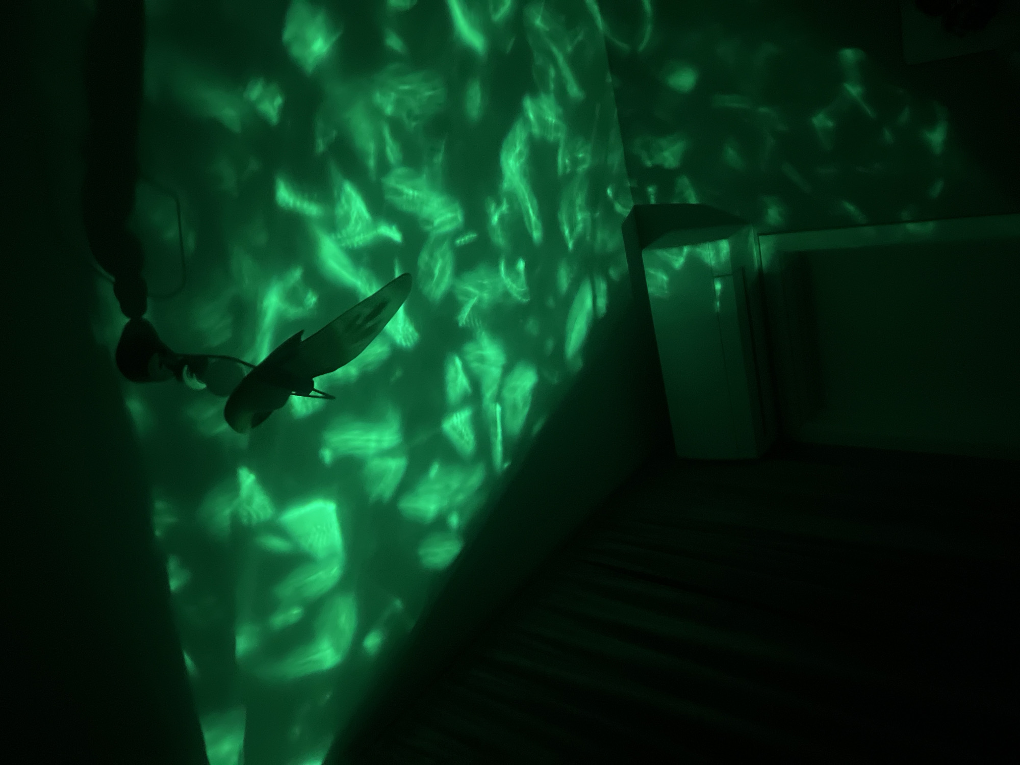 The image shows a dark room illuminated by a green light, creating a dynamic pattern on the wall. A plant with leaves is positioned in front of the light source, casting a shadow. The area on the right side of the image includes a white rectangular object on a dark surface. The location in Plovdiv, Bulgaria, is not determined.