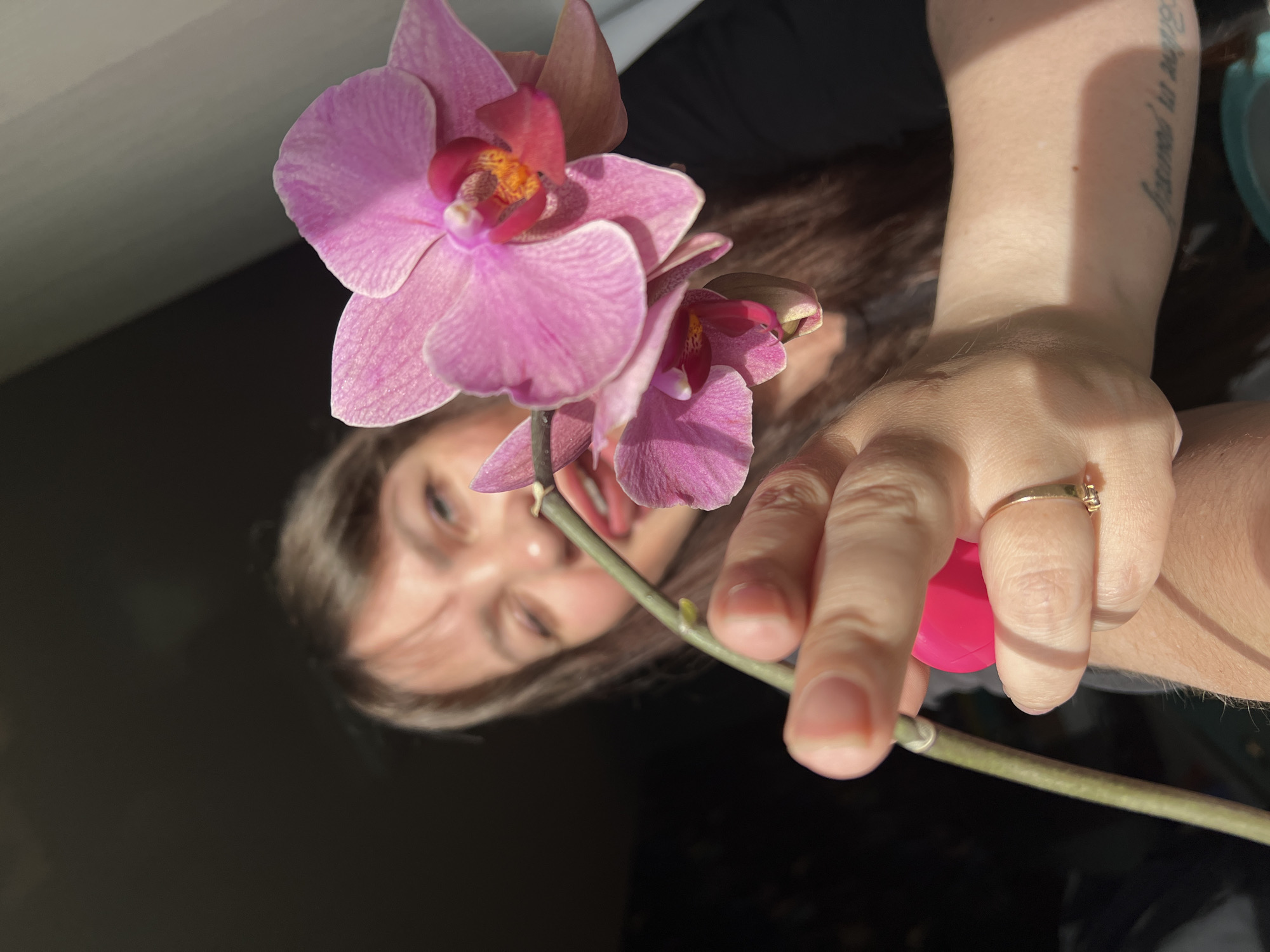 A close-up, brightly lit image, oriented on its side, shows a person holding a pink orchid against a dark, out-of-focus background. The main subjects are a vibrant pink Phalaenopsis orchid, a person's hand, and a partially visible face and arm.
In the foreground, two blooming pink orchid flowers dominate the left side of the frame, with distinct veining on their petals and deeper pink and yellow centers. The green stem of the orchid extends diagonally across the image. A fair-skinned hand, wearing a gold-colored ring with a small, dark stone on the ring finger, gently grips the orchid stem. A bright pink cylindrical object, possibly a cosmetic item, is loosely held by the same hand behind the stem.
Further up the arm, a tattoo with script is partially visible on the inner forearm, which reads "... is yourself." The face of a person with light brown hair is visible in the upper right background, out of focus, looking towards the orchid with a soft smile.
The lighting is bright, possibly natural daylight, highlighting the delicate texture of the orchid petals and the person's skin. The background is predominantly dark, creating a strong contrast and drawing attention to the foreground subjects, with a lighter gray section visible in the upper left corner. The image was taken in Noviy, Russia. The overall impression is one of gentle interaction and beauty.
