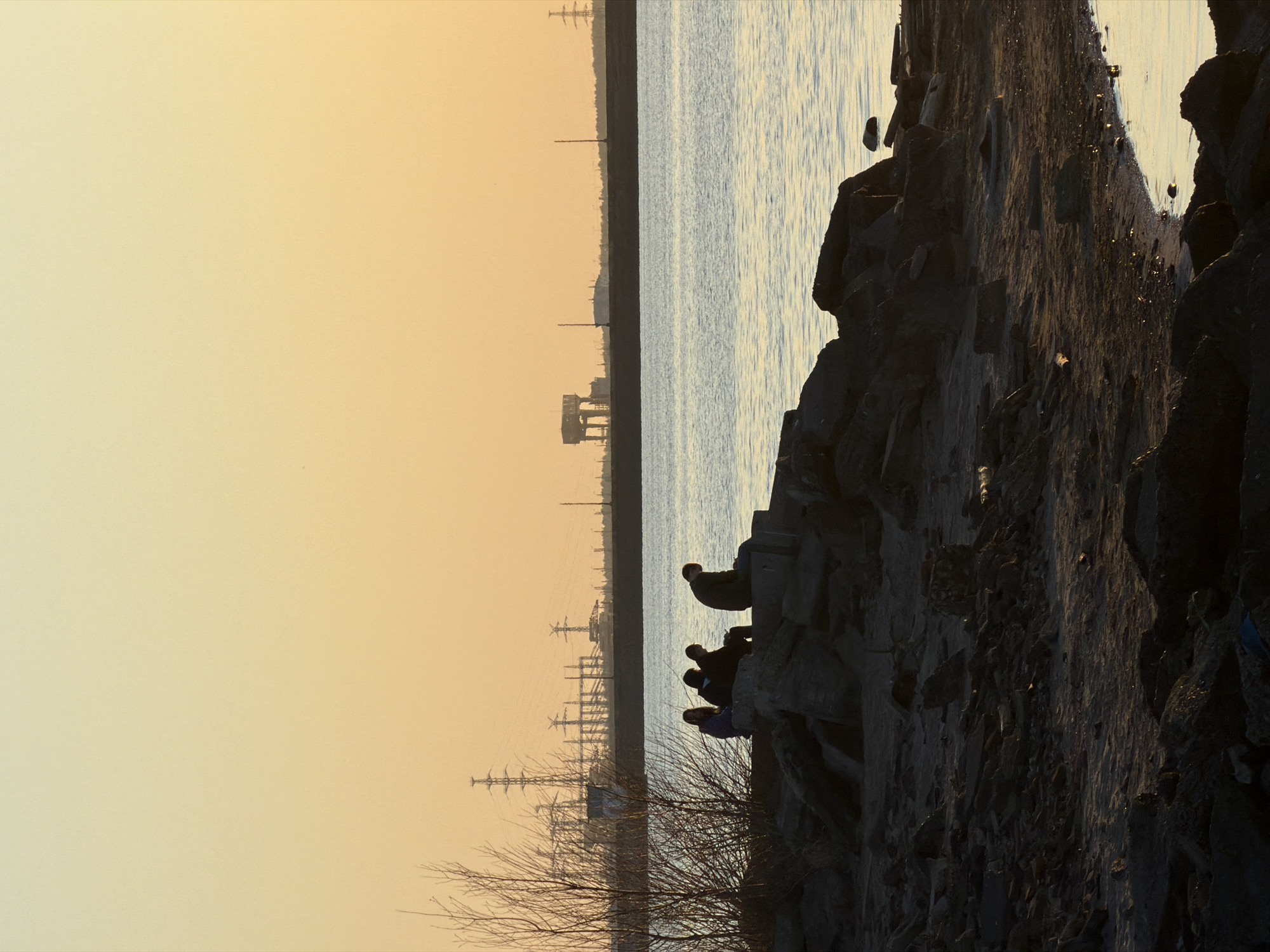 The image captures a scene at sunset, likely near the water in Chaikovsky, Russia. The composition is divided vertically between a pale yellow sky, a body of water, and a rocky shoreline.
On the shoreline, silhouetted figures of at least four people are visible, seated or standing on the rocks, potentially observing the sunset or the water. In the background across the water, there are electrical pylons and structures, indicating an industrial presence or infrastructure in the area. A bare tree or shrub with sparse branches is in the foreground at the base of the rocks. The overall mood is calm and observational.