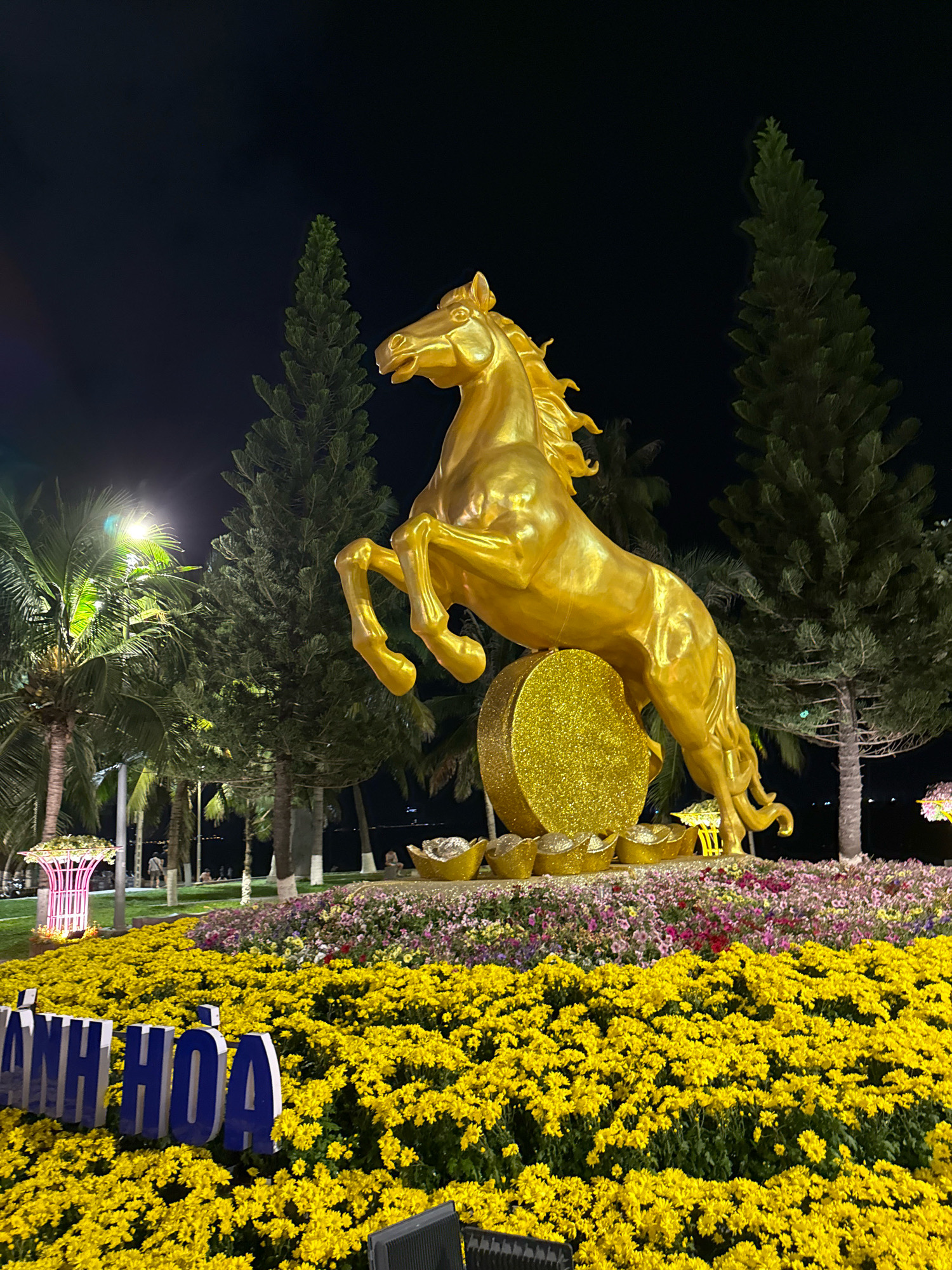 This is a nighttime photograph of a golden horse sculpture, a prominent display in a public area likely decorated for a festive occasion, possibly Tet Nguyen Dan (Vietnamese New Year). The sculpture of the horse, depicted in a rearing stance, is golden and appears to be made of metal or a similar durable material. It is positioned in front of a large, glittering gold sphere, which is further surrounded by several golden ingots.
The sculpture and its accouterments are set against a backdrop of lush greenery and a dark night sky. Several tall, dark green trees, possibly pine trees, are visible behind the sculpture, with their conical shapes sharply defined against the sky. To the left of the sculpture, palm trees with their fronds illuminated by artificial light add to the tropical atmosphere.
In the foreground, a vast carpet of bright yellow flowers dominates the lower half of the image. Behind these yellow flowers, a band of pink and purple flowers adds a contrasting hue. A prominent display of large, three-dimensional blue letters spelling out "ANH HOA" is situated within the yellow flower bed, near the bottom left corner. These letters are likely part of a city or location name.
Further to the left and in the mid-ground, there is a white structure with a pink lattice design, also adorned with flowers. The overall scene suggests an outdoor event or display, possibly in a park or along a promenade, given the presence of palm trees and what appears to be a body of water in the far background, hinted at by reflections and distant lights. The lighting suggests artificial illumination is in use, highlighting the sculpture and the flowers.
The location is identified as Nha Trang, Vietnam, which is a coastal city known for its beaches and tropical climate. This type of elaborate floral and sculptural display is common in Vietnam during holiday seasons. The presence of people in the background, though small and indistinct, indicates that this is a public space. There is no clear indication of any specific action or interaction between people, other than their passive presence in the scene.