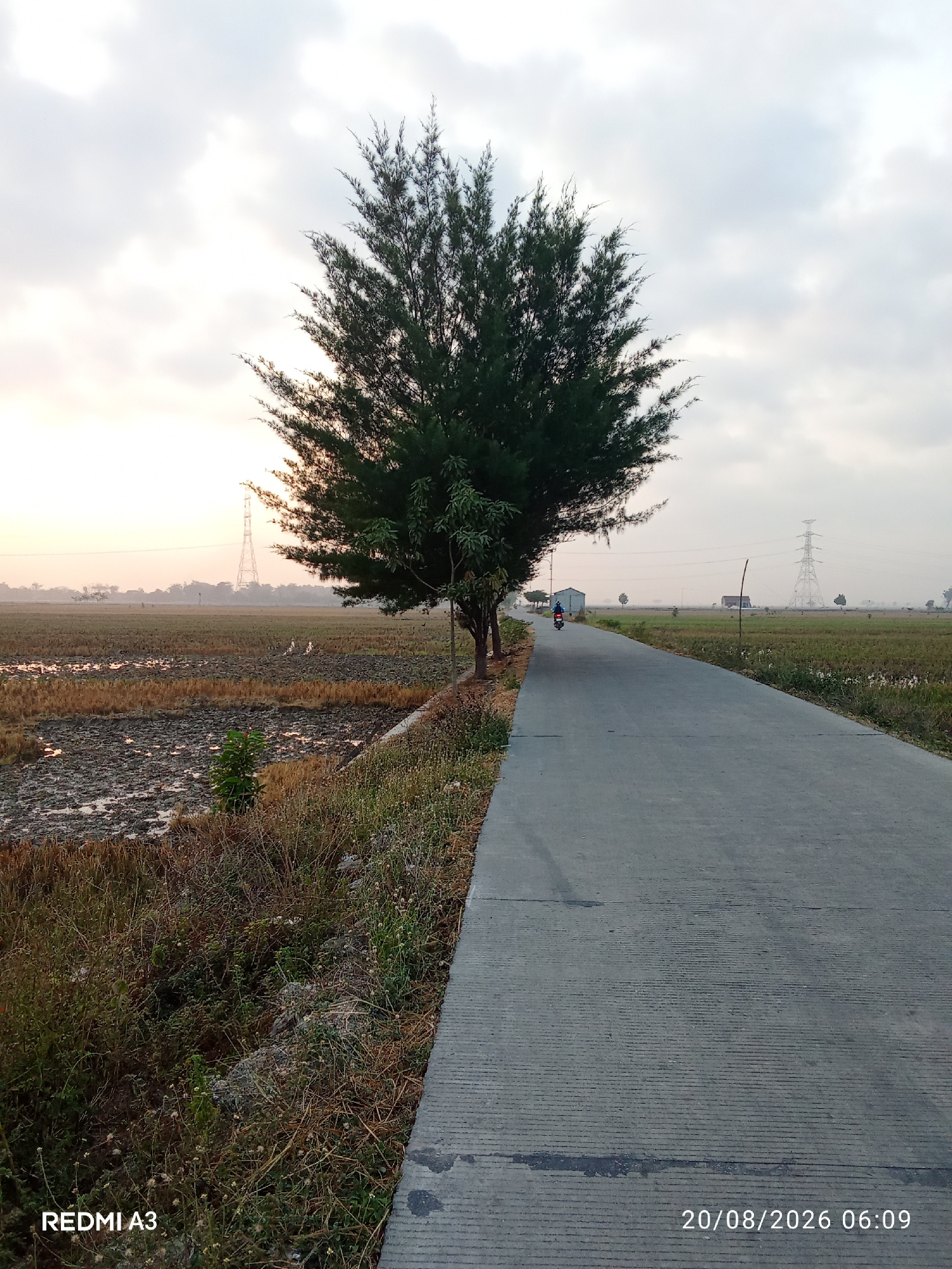 The image depicts a rural scene in Brati, Indonesia, likely at dawn or dusk given the lighting. A paved road runs diagonally from the foreground into the distance, flanked by fields on either side. To the left, the field appears to be recently harvested or tilled, with patches of water and dry stubble. To the right, another field is visible, with rows of what could be young crops. A large, mature tree with dense, dark green foliage stands prominently on the left side of the road, casting a shadow. In the distance, a tall electricity pylon is visible against the hazy sky, suggesting the presence of infrastructure. A lone individual on a motorcycle is traveling away from the camera on the road. The sky is overcast with soft, diffused light, and the overall atmosphere is peaceful and serene. The bottom left corner of the image shows the text "REDMI A3" and the bottom right corner displays "20/08/2026 06:09".