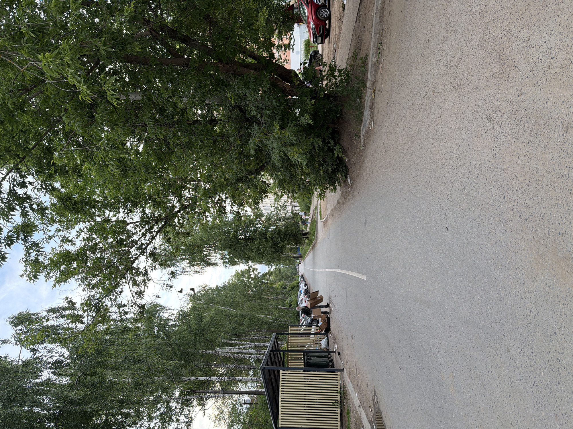 The image shows a street in the city of Chaikovsky, Russia. On the left side of the road, there is a trash and recycling area with a covered structure and several bins. A man with a beard and glasses is standing in the road next to the recycling area, holding cardboard boxes. Several cars are parked along the right side of the road. The road is paved and has a white line marking the center. Trees line both sides of the street, with a large tree on the right obscuring part of the view of the buildings in the background. The sky is visible with some clouds.