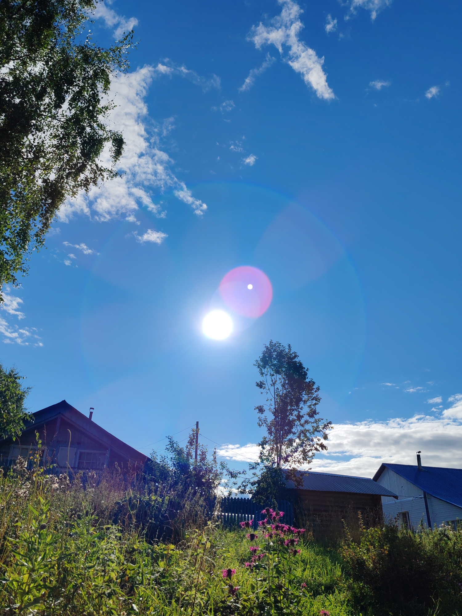 This is a photograph taken on a sunny day in the village of Chukhlem, Russia. The image captures a rural landscape under a bright blue sky with scattered white clouds. In the foreground, overgrown green vegetation and some pink wildflowers are visible, leading towards a wooden house with a dark, angled roof and a chimney. To the right of this house, there is another building with a blue roof. A thin tree stands in front of the house with the blue roof, and a taller tree with dark leaves is positioned to the left, partially obscuring the sky. The sun is very bright, positioned high in the sky, causing lens flare that creates circular patterns of light. There are no people visible in the image. The overall impression is one of a serene, natural setting in a rural Russian village.