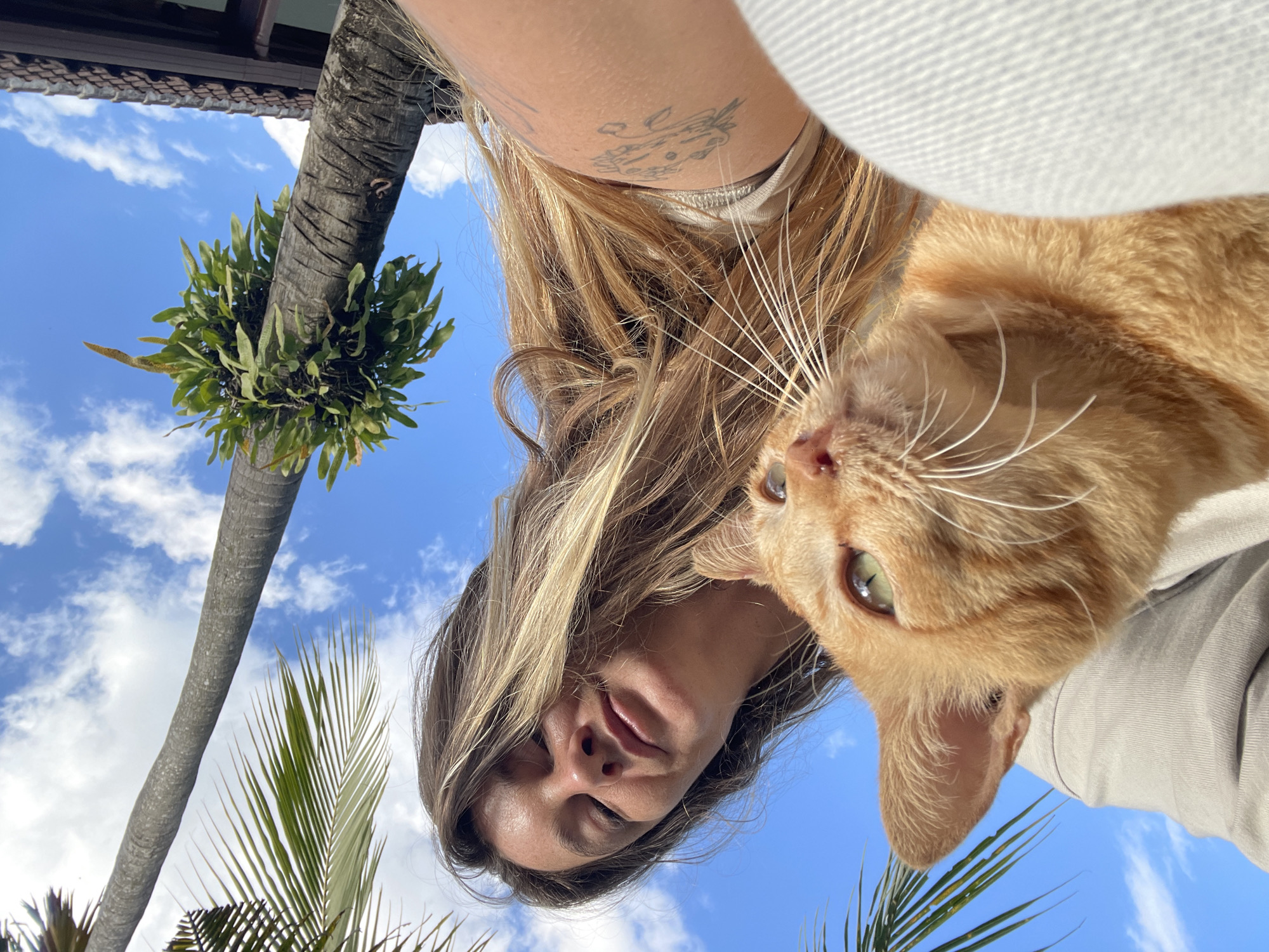 An overhead, low-angle, close-up selfie shot features a woman and an orange tabby cat outdoors under a bright blue sky with scattered white clouds. The woman, with her eyes closed and a slight smile, has long, wavy blonde hair that cascades around her face and shoulders. A portion of her left arm is visible, showing a tattoo. The cat, positioned in the foreground and looking upwards, has striking green eyes and prominent white whiskers. The background reveals the textured trunk of a palm tree with fronds and a cluster of plants growing on it, as well as a section of a building with a tiled roof, suggesting an outdoor setting in a tropical location. This scene is consistent with the environment found in North Kuta, Indonesia, a popular tourist area known for its beaches and lush tropical vegetation.