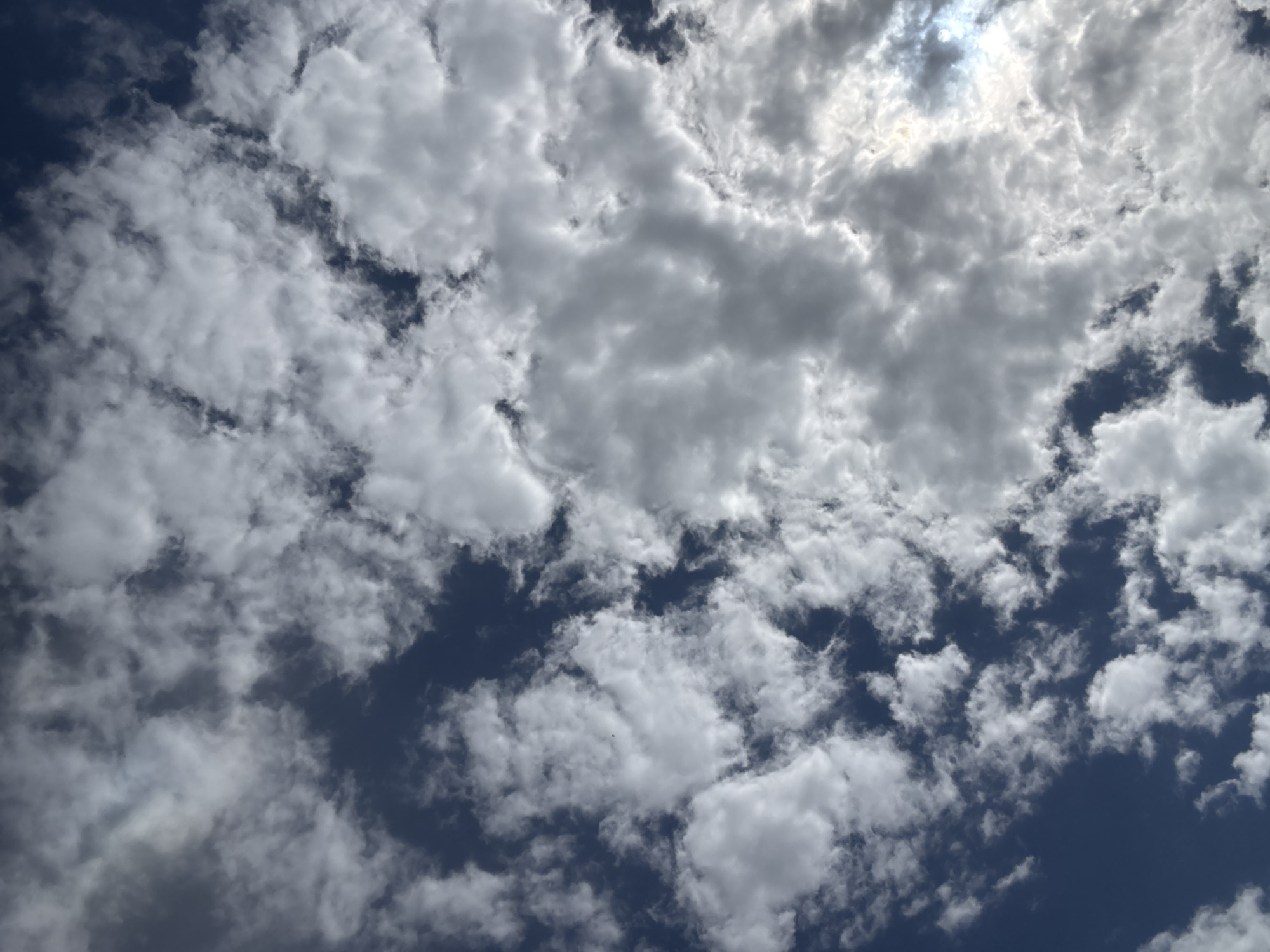 The image presents a daytime sky dominated by a dynamic interplay of clouds and patches of blue. White and various shades of gray clouds, ranging from fluffy and bright to darker and more diffused, fill the majority of the frame. The clouds appear to be layered, with some showing clear definitions and others blending softly. In the upper right portion of the image, bright sunlight is visible breaking through or illuminating the clouds from behind, casting a luminous glow that suggests the presence of the sun obscured by lighter cloud cover. Several areas of deep blue sky are visible between the cloud formations, particularly towards the left and bottom edges, indicating a partially cloudy or overcast day. A very small, dark, unidentifiable speck, possibly a bird or insect, is faintly visible against the white clouds in the bottom-left quadrant. The scene depicts natural atmospheric conditions above Yana, Bulgaria. No discernable text or specific human activity is visible.