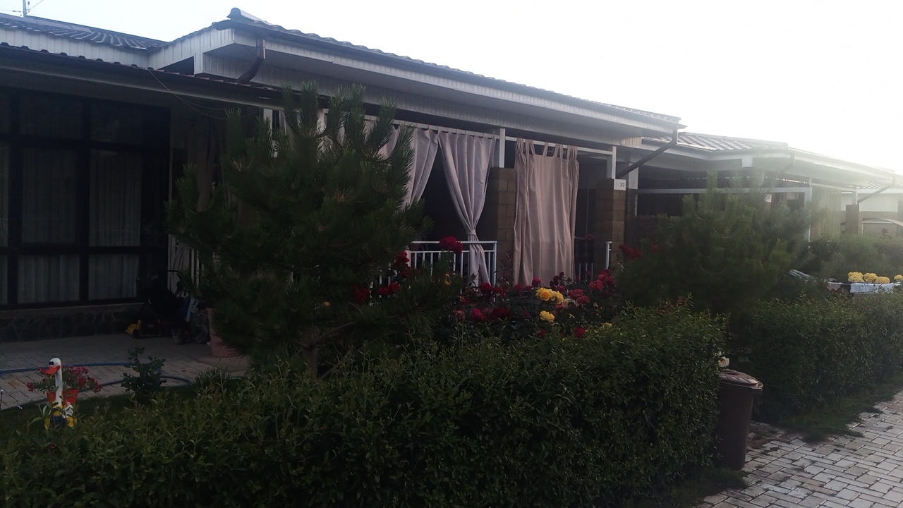 The image depicts a residential property with a modern architectural style, featuring a white roof with brown trim and light-colored exterior walls. Large windows with dark frames are visible on the left side of the building, partially covered by sheer white curtains. Adjacent to these windows, a covered patio area is adorned with light beige curtains that hang from the roofline, providing privacy. A white railing runs along the edge of the patio, suggesting it is elevated or has an open-air section.
In the foreground, a lush green hedge forms a dense border along the front of the property. Amongst the hedge and flowers, there are several rose bushes with vibrant red and yellow blooms. A decorative, multi-colored garden ornament resembling a stork with a planter is positioned on the left side of the frame, near a blue hose.
To the right of the main building, a continuation of the covered patio is visible, also furnished with similar light beige curtains. Further to the right, another section of the property is glimpsed, with more hedging and a large brown trash bin placed near a brick-paved walkway. The overall scene suggests a well-maintained outdoor space.
The sky is overcast, indicating a muted natural light. The scene is static and does not show any people or immediate activity. The presence of manicured hedges, blooming roses, and decorative elements suggests a residential dwelling in a town or village, possibly Choktal, Kyrgyzstan, based on the provided context.
