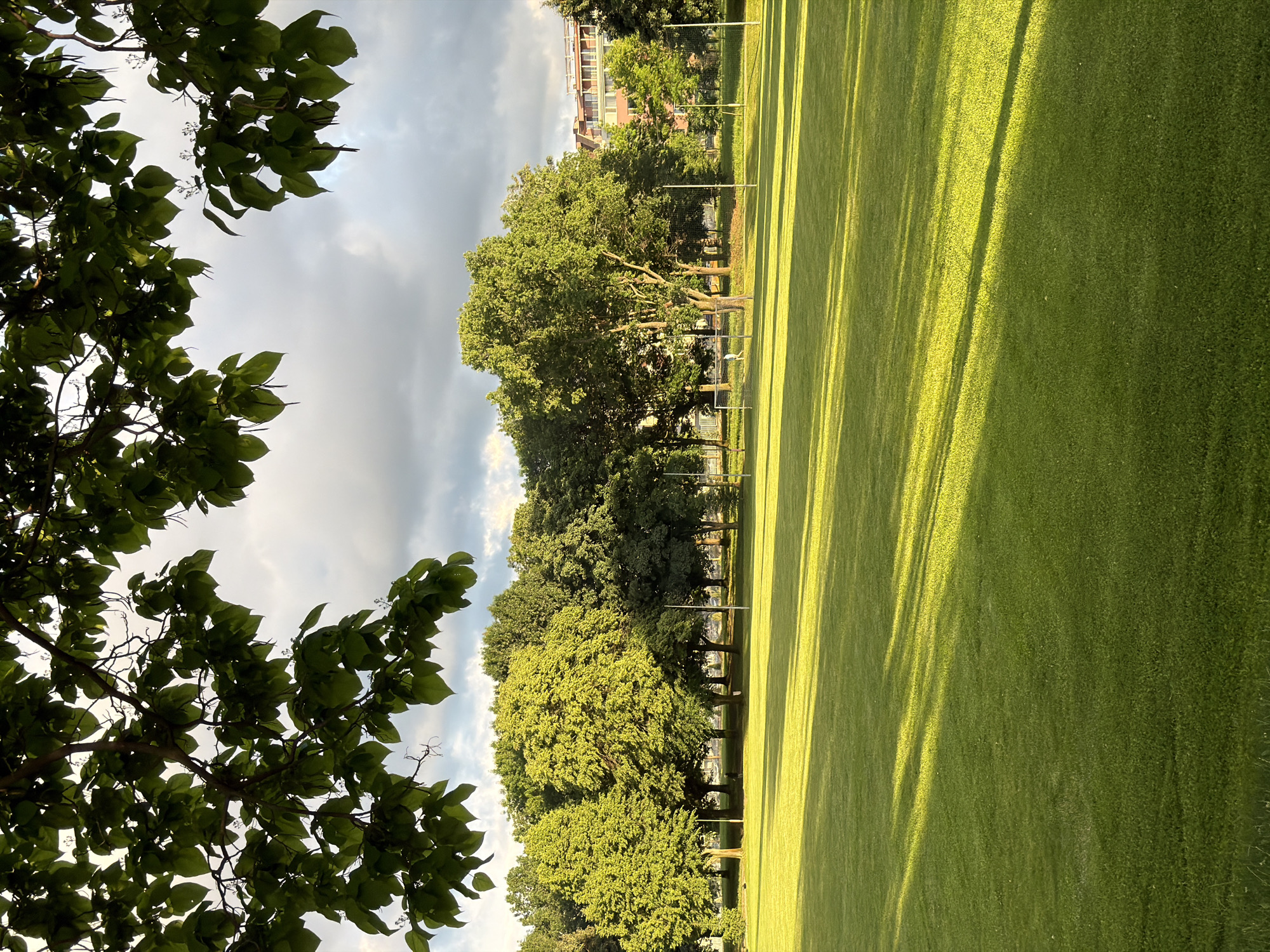 The image displays an expansive, vibrant green grassy area, likely a park or sports field, under a partly cloudy sky. The setting is consistent with an urban green space found in Sofia, Bulgaria.
In the upper-left quadrant, the dark green leaves and branches of a foreground tree are prominently featured, silhouetted against the bright sky. Stretching horizontally across the mid-section of the image is a dense line of mature trees, their foliage a rich green, separating the foreground elements from the background. Behind these trees, a multi-story building with visible balconies and what appear to be white sports nets or goalposts are discernible, suggesting an area equipped for athletic activities.
The right and bottom portions of the image are dominated by the neatly maintained green grass. Long, distinct, parallel shadows are cast across the sunlit grass, indicating a low sun angle characteristic of either early morning or late afternoon. The illuminated parts of the grass exhibit a golden-green hue, contrasting with the darker shadows. The sky, visible in the upper-left and through the tree canopy, shows a mix of light and dark clouds.
No people are visible, and no discernible text appears anywhere in the image. The scene evokes a tranquil and open atmosphere.