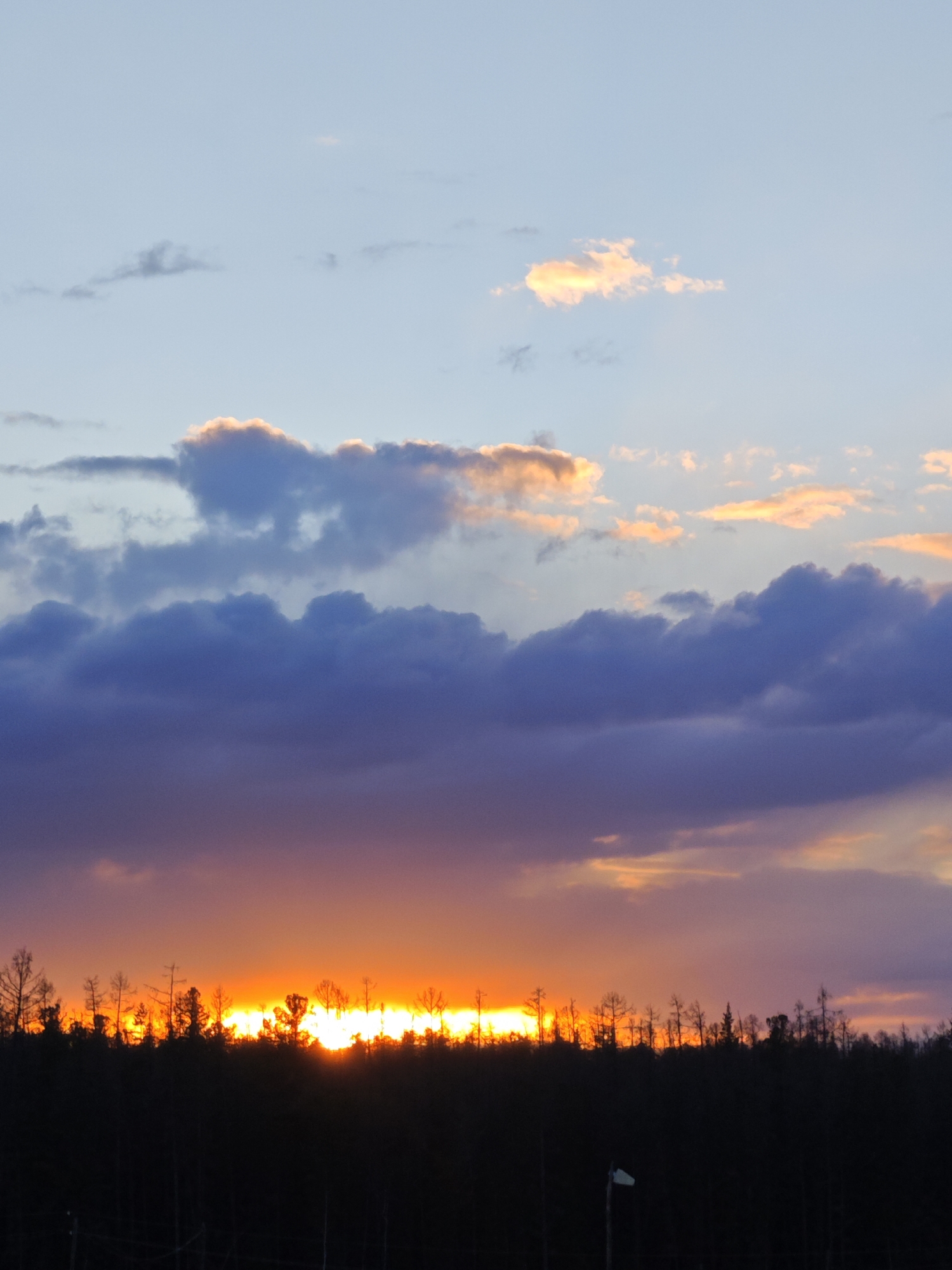 A sunset over a treeline. The sky is blue near the top of the frame, fading into orange and purple closer to the treeline. The trees are silhouetted against the bright orange light of the sunset. The location is Unknown, Russia.