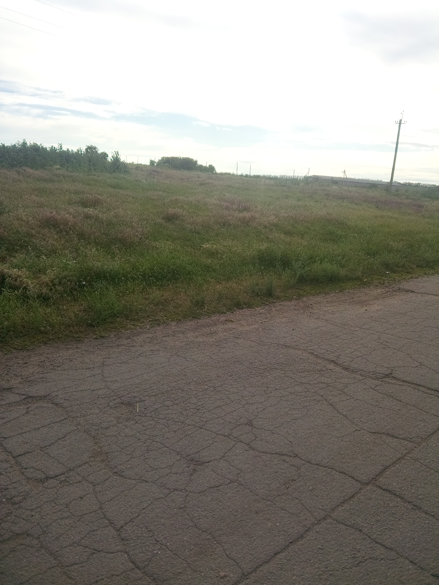 The image depicts a rural landscape in Zelenyi Hai, Ukraine, featuring a cracked asphalt road in the foreground. Beyond the road, a grassy field extends towards a line of trees and vegetation. A utility pole with visible wires stands to the right of the frame, and a low-lying structure, possibly a shed or part of a building, is visible in the distance. The sky is overcast with clouds, indicating diffused daylight. No people or animals are present in the scene.