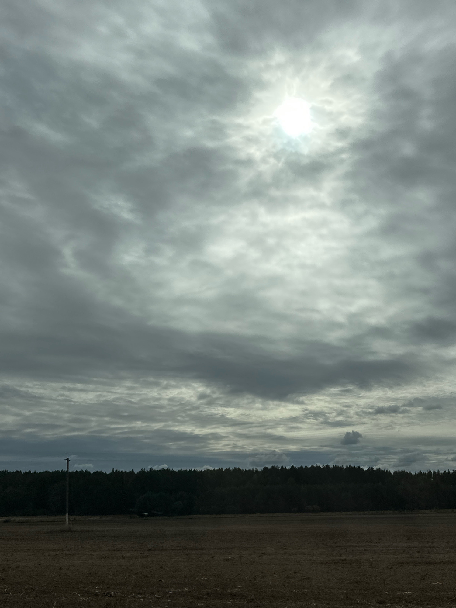 The image depicts a rural landscape under a cloudy sky. The foreground is a field of dry, brown vegetation, possibly harvested crops. A dark line of trees forms the horizon, with a faint suggestion of hills or a darker treeline behind it. A solitary utility pole stands in the middle ground to the left of the frame. The sky is filled with a dense layer of grey clouds, with a bright, partially obscured sun creating a halo effect in the upper right quadrant. The overall atmosphere is somber and overcast. The image is a vertical shot, capturing the expanse of the sky and the horizontal elements of the landscape.