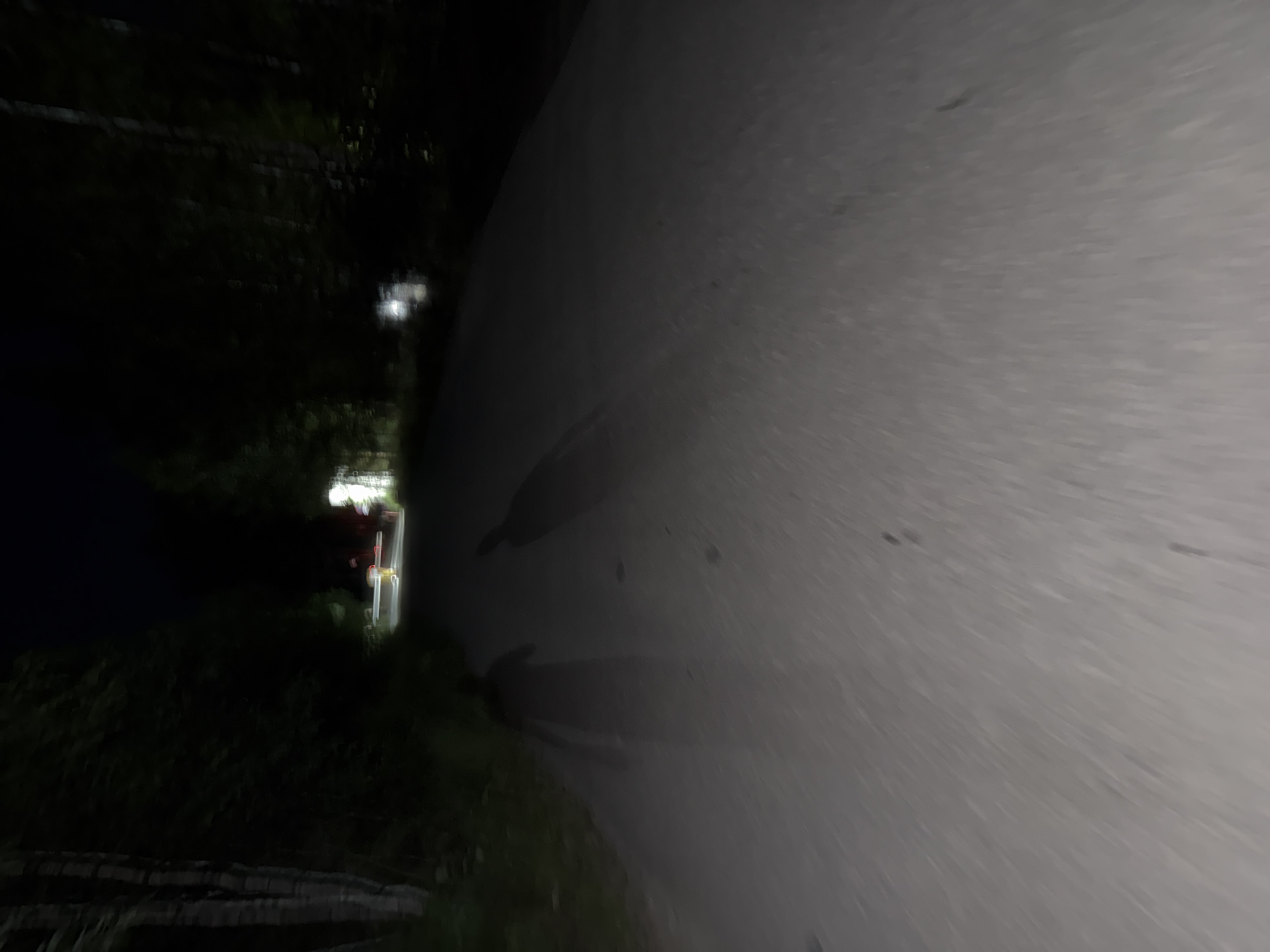 This is a nighttime, low-light photograph of a dirt road in a wooded area, possibly in or near Dom Otdykha Zolotoy Plyazh, Russia. Two faint, elongated human-shaped shadows are cast on the road, suggesting the presence of individuals moving away from the camera. The shadows are distorted, indicating movement or uneven lighting. Trees with visible bark line the left side of the road, and denser foliage forms a dark backdrop on either side. In the distance, faint lights are visible, indicating structures or lighting fixtures. One set of lights appears to be a barrier or gate, possibly illuminated by yellow and red lights. The road surface is granular and appears uneven. The overall impression is one of a solitary or quiet nighttime scene on an unpaved path.