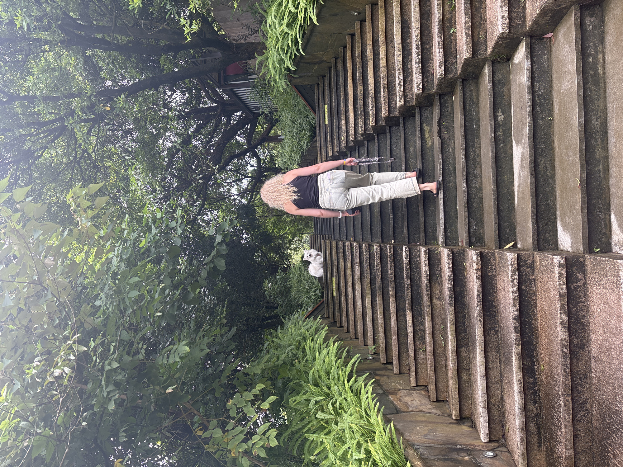 A woman with curly blonde hair, wearing a black tank top and light-colored pants, walks up a wide outdoor stone staircase. She is holding a silver chain in her right hand. To her left, further up the stairs, a small white dog sits on a step. The staircase is flanked by lush green ferns and trees. The scene is set outdoors, suggesting a park or garden environment, possibly within Guangzhou City, China, given the presence of the specified flora and architectural style. The lighting indicates it is daytime, and the stone steps appear damp, suggesting recent rain.