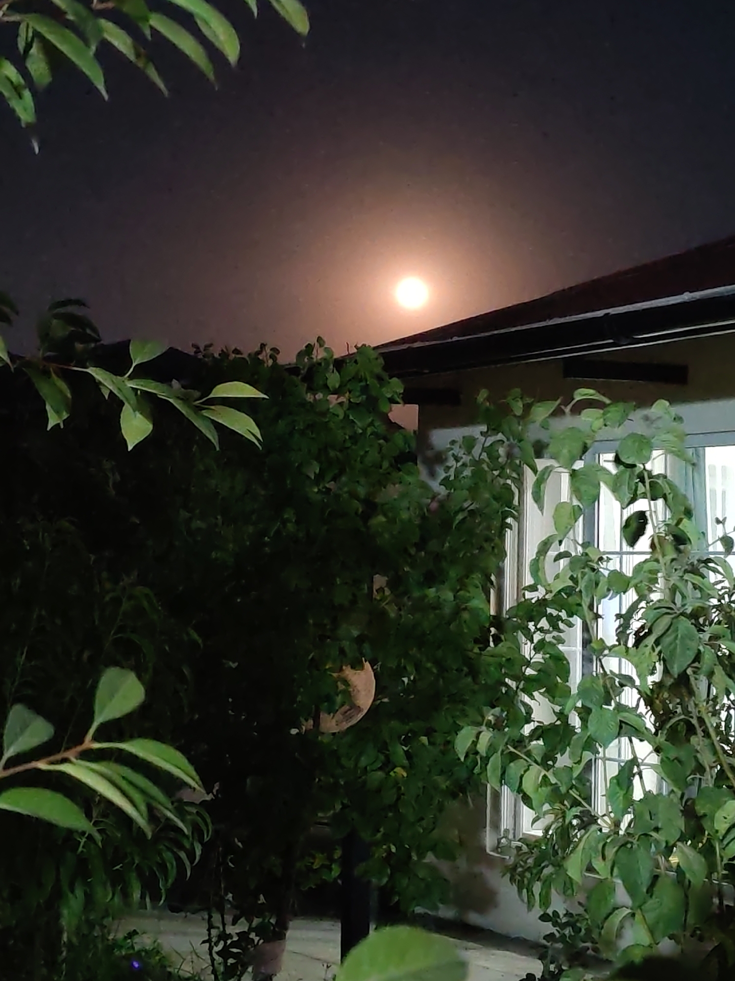 A nighttime, low-angle shot captures a bright, full moon partially obscured by the roofline of a building. Lush green foliage dominates the foreground and midground, with branches and leaves from trees and bushes extending into the frame from the top and left. The building, likely a house, features a tiled roof and a large window with vertical blinds visible. The overall impression is a serene, natural scene set against a domestic backdrop under the moonlight, possibly in a residential area of Sabunchu Raion, Azerbaijan. No people are visible in the image.