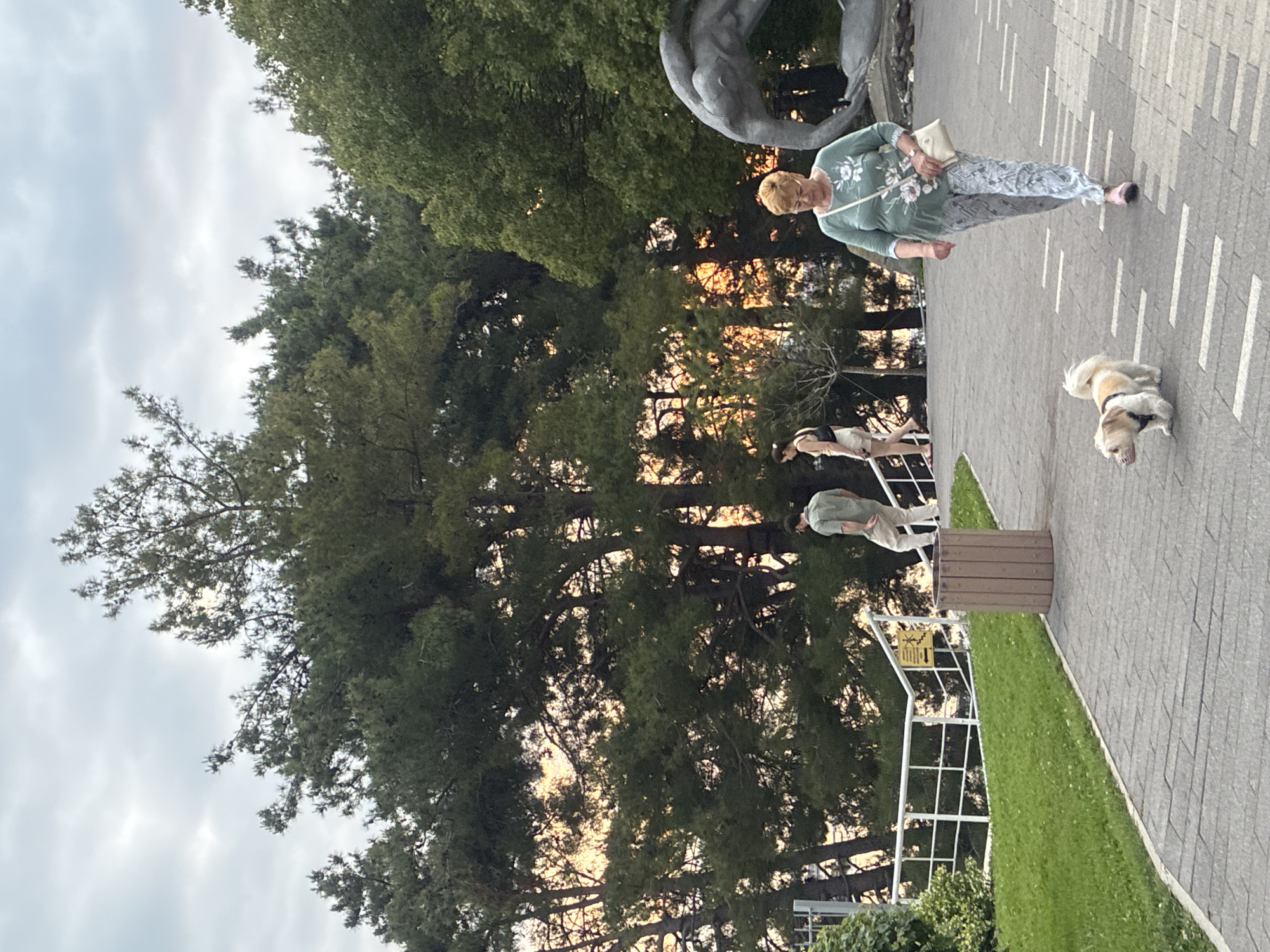 The image depicts a scene with several individuals and a dog in an outdoor park-like setting. In the foreground, a person in a light green top and patterned pants is walking with a small, tan and white dog on a leash. The dog is lying on the paved walkway. Further down the walkway, another person is seen in a green shirt and light-colored pants, walking away from the camera. The background is dominated by lush green trees, some of which are quite large. A sculpture, possibly of a muscular figure, is partially visible in the upper left portion of the frame. The ground is paved with interlocking gray bricks, with a strip of green grass bordering the walkway. A wooden trash receptacle is positioned on the grass. The lighting suggests it is either early morning or late afternoon, with the sun casting warm light through the trees, creating a slightly hazy atmosphere. The sky is overcast. The overall mood appears relaxed and casual, consistent with a stroll in a park. The scene is likely in Sochi, Russia, as indicated by the context. There is no visible text in the image.