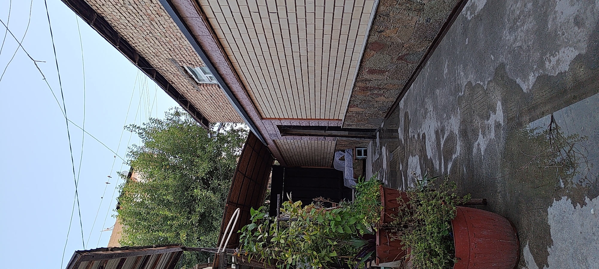 The image depicts an outdoor scene, likely a courtyard or alleyway, in Khujand, Tajikistan. On the left, several large terracotta planters contain lush green foliage, suggesting a garden area. A covered walkway extends from the left side of the image, leading towards a dark doorway or entrance. Inside this covered area, a small bed or cot is visible, draped with a patterned blanket, and a small stool stands beside it.
The main structure on the right is a building constructed with light-colored bricks. The lower portion of this building features a stone accent wall. A single window with white framing is present on the upper section of the brick wall. The ground is paved and wet, with visible puddles and reflections, indicating recent rain or watering. Overhead, electrical wires crisscross the sky, and several small birds are perched on them. The sky is clear and appears to be either early morning or late evening. The overall impression is of a residential or commercial back area, possibly with a functional or storage purpose.