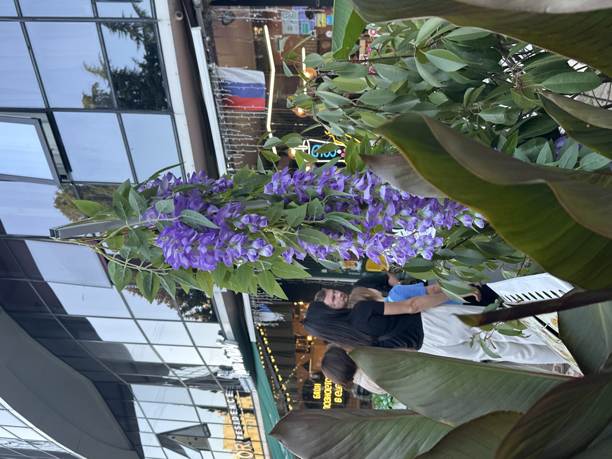 In Sochi, Russia, this medium shot captures a lively street scene with a prominent floral display in the foreground. A cascade of vibrant purple wisteria flowers hangs from a metal structure, drawing the eye towards the background. Behind the flowers, a modern building with a reflective glass facade dominates the scene, mirroring the sky and surrounding trees.
At street level, several individuals are visible. A woman with long black hair, wearing a black t-shirt and white pants, stands in the mid-ground. Beside her, a man with short brown hair, wearing a dark t-shirt, is partially obscured. A young person in a blue t-shirt is also present. In front of them, a white stand with visible text appears to be a menu or information board.
The building features multiple open windows, and a banner with the Russian flag is displayed. Neon signs, including one with a silhouette of a cup and colorful text, add a commercial element to the environment. The overall impression is one of an urban setting with elements of natural beauty integrated into the cityscape.