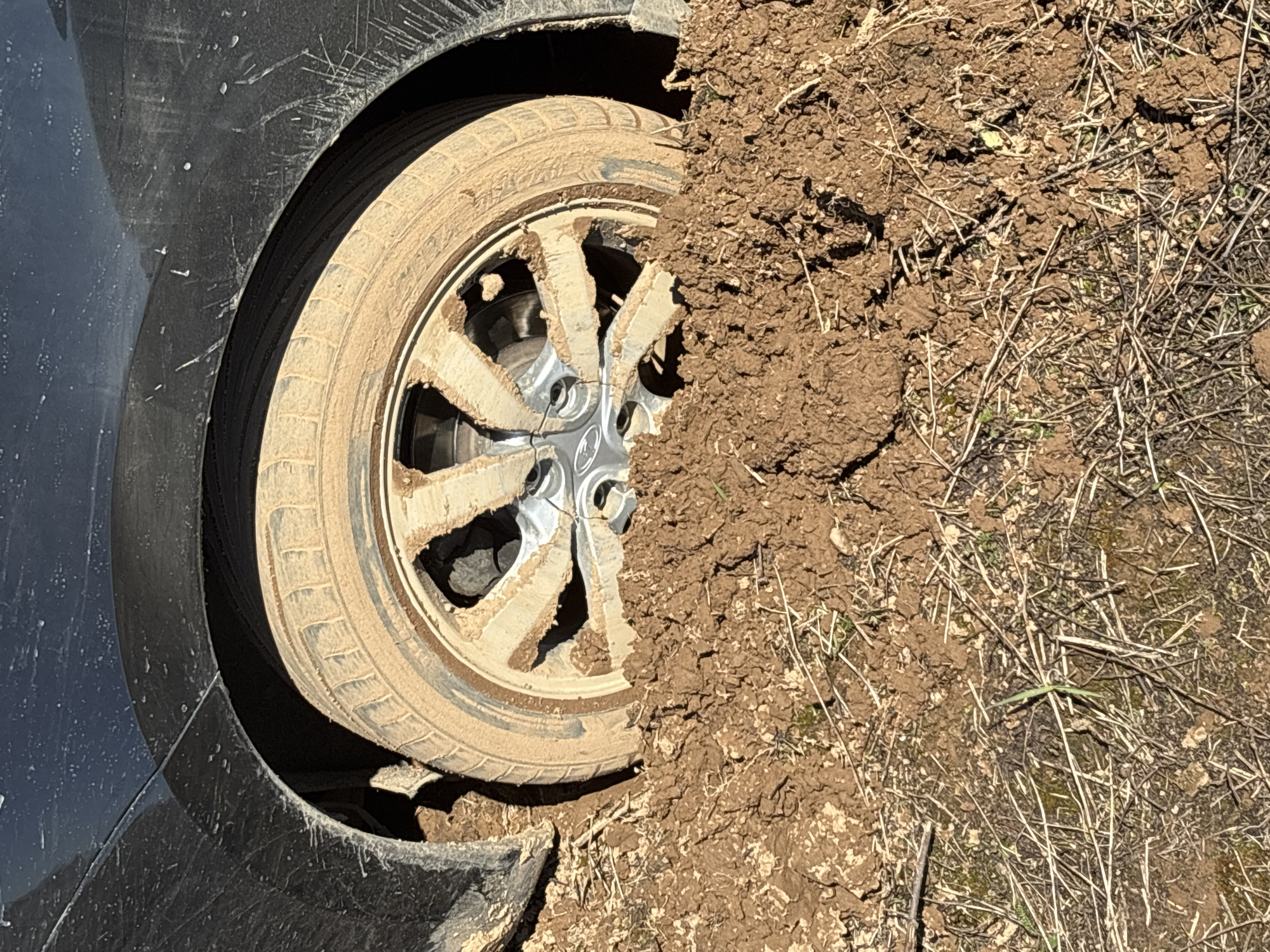 A close-up shot reveals a dark-colored car with its front left wheel heavily embedded in muddy terrain. The tire and wheel are caked with thick, brown mud, extending onto the adjacent ground which is also covered in mud and sparse dry vegetation. The car's fender is slightly damaged near the wheel well. The setting appears to be an unpaved roadside or a field, suggesting the vehicle is stuck off-road. The image does not provide enough context to confirm the specific location as Ваньки, Russia. There are no visible people in the frame. The main subject is the stuck car and its predicament.