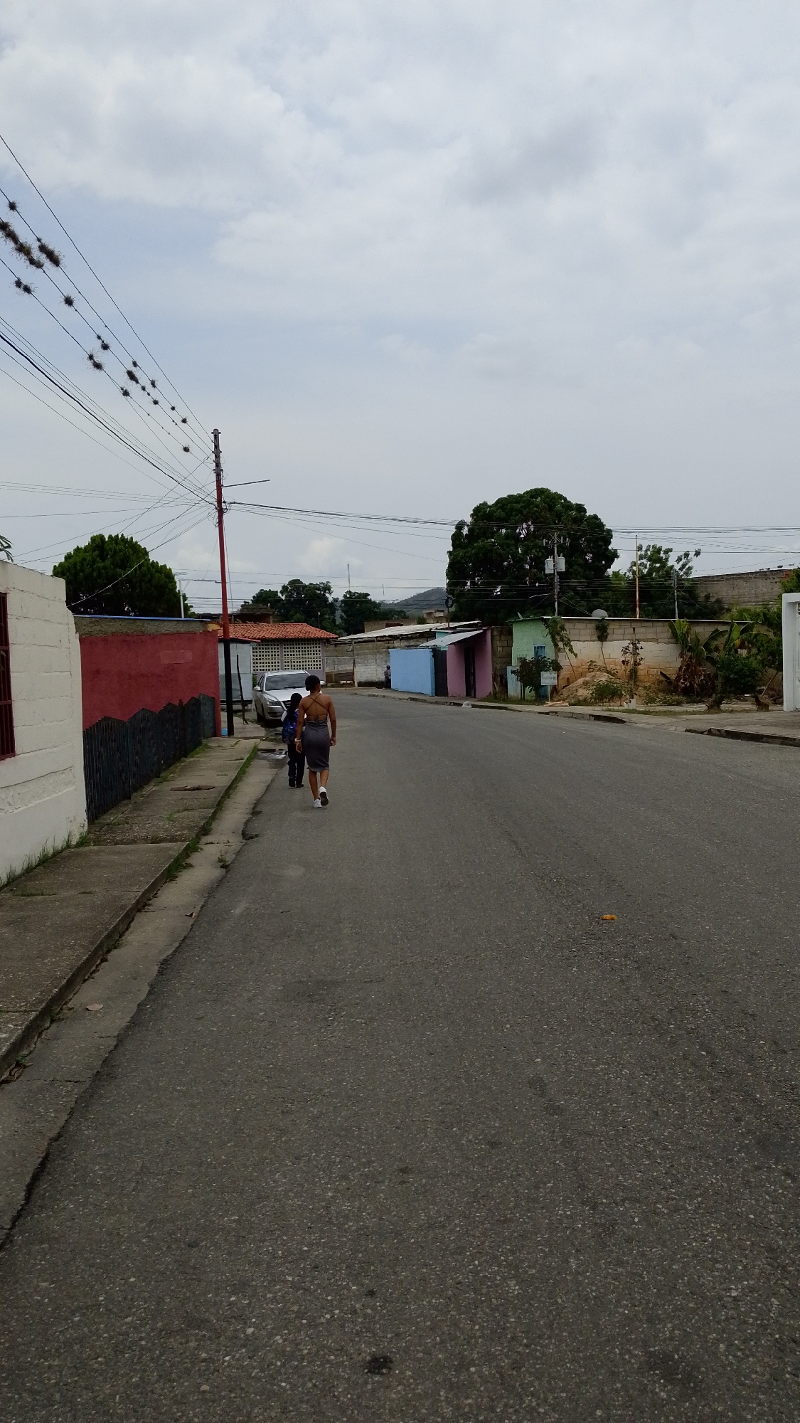 This image depicts a residential street scene in Tinaquillo, Venezuela, under an overcast sky. The asphalt road stretches into the distance, with a concrete sidewalk running along its left edge. Two individuals, an adult and a child, are walking away from the camera on the left side of the road. The adult, dressed in a grey, backless top or dress, walks slightly behind the child, who is wearing a blue top.
The street is lined with various houses and structures. On the left, a white building with a red window frame is followed by a long red wall with a dark fence. Further along, a white car is parked, and beyond it, colorful, simple houses in shades of blue, pink, and light green are visible, interspersed with concrete block walls. Green trees and bushes are scattered throughout the scene, with a large, verdant tree prominent in the middle ground on the right side of the street.
Numerous utility poles and a dense network of power lines crisscross the upper part of the frame, with one main pole appearing red. A notable detail is the presence of small clumps of vegetation, likely air plants, growing along many of the overhead wires. The sky is predominantly cloudy with scattered grey formations, indicating an overcast daytime. No specific events are occurring beyond the two individuals walking. There is no visible text in the image.