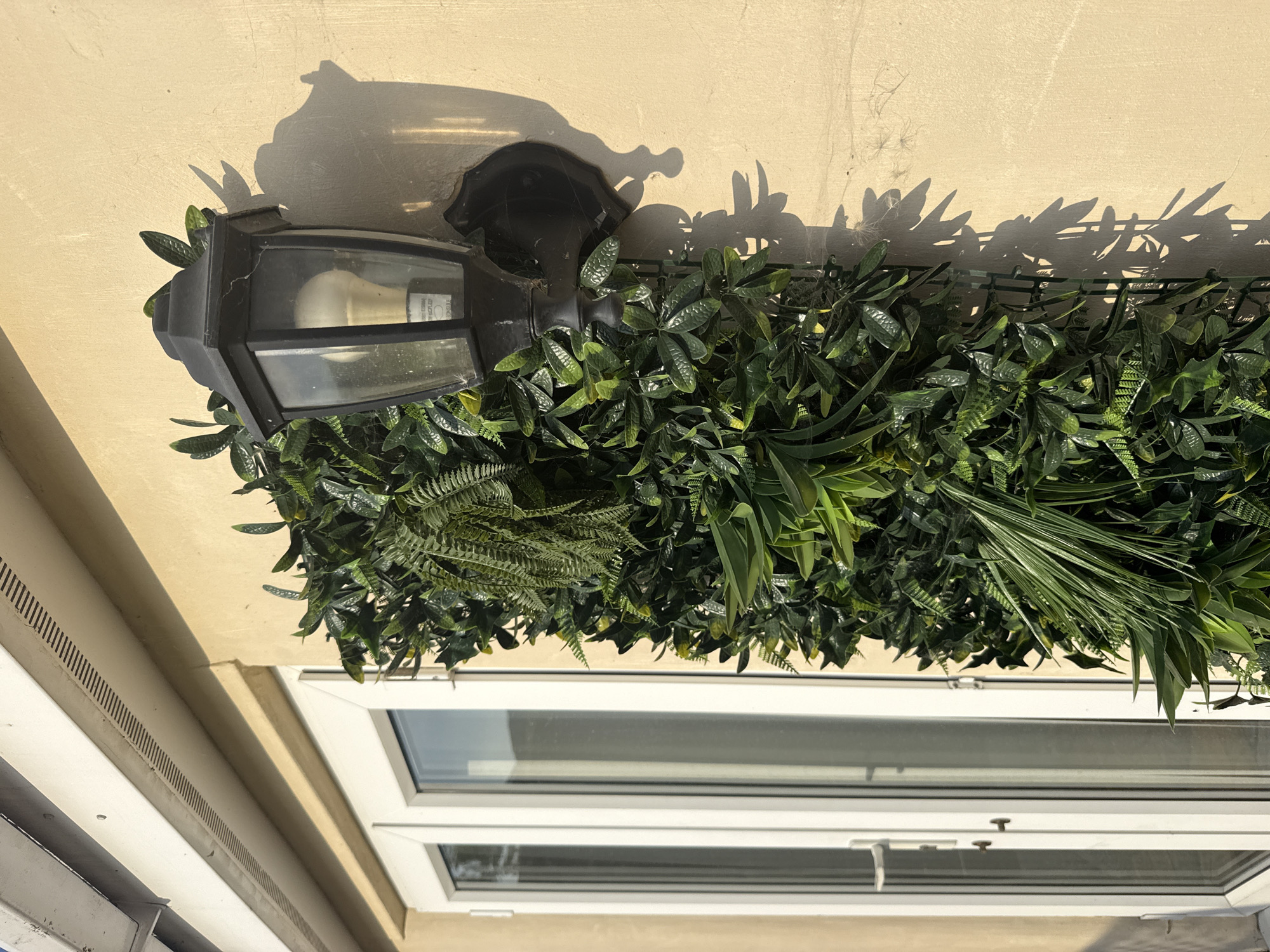 A black outdoor lantern with a clear glass pane, housing an LED light bulb, is mounted on a textured tan wall. The lantern is partially obscured by a vertical garden panel made of artificial green foliage, featuring various types of leaves and ferns. To the left of the lantern and foliage is a white framed double door with glass panes, and a silver door handle. The scene is illuminated by natural sunlight, casting distinct shadows on the wall. The architecture suggests a residential or commercial building, likely in an urban or suburban setting. No people are present in the image. The setting is the exterior of a building, possibly a house or a shop, in Colchester, United Kingdom.