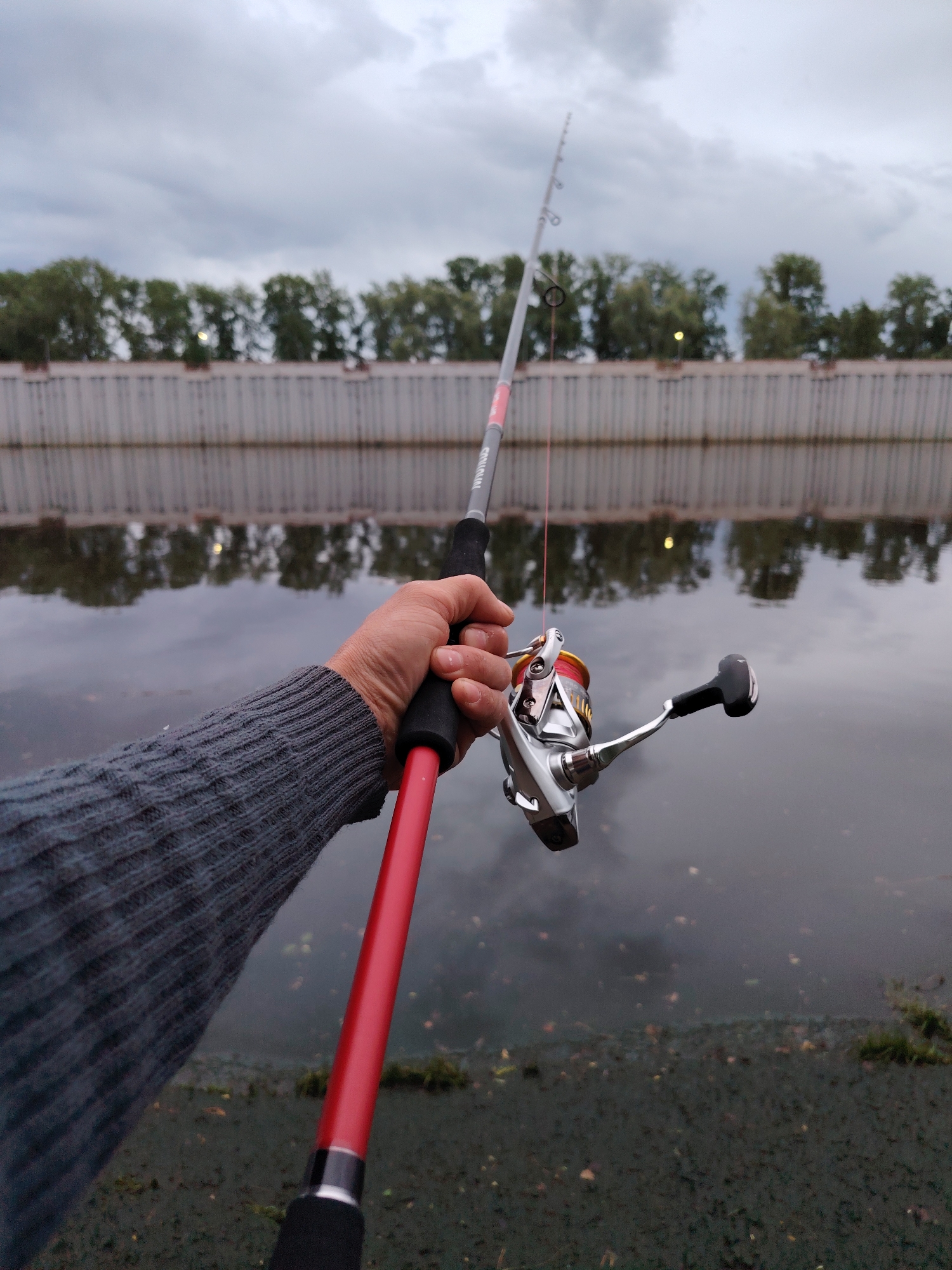 A person holds a red and grey fishing rod with a silver and gold reel over a murky body of water. The person is wearing a grey sweater. The water reflects a grey wall with trees atop it under a cloudy sky. The shore is visible in the foreground. This is likely in Chaikovsky, Russia.