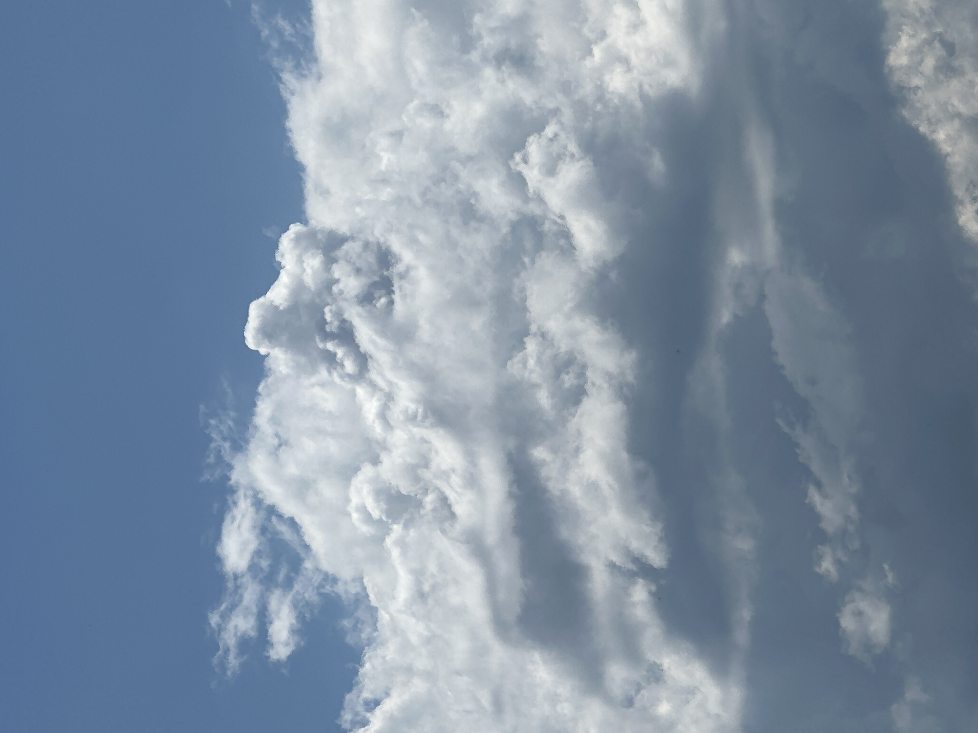 This media file is an image of the sky filled with clouds. The image is oriented vertically, with the blue sky on the left and a large formation of white and gray clouds on the right. The clouds are dense and textured, with areas of bright white where sunlight is hitting them and darker gray areas where they are casting shadows or are thicker. The overall impression is of a dynamic and possibly stormy sky, though the blue sky suggests that it is not entirely overcast. There are no people, objects, or text visible in the image. The time of day is suggested to be daytime due to the presence of blue sky and bright sunlight illuminating parts of the clouds. The weather appears to be partly cloudy with the potential for precipitation due to the dark, heavy clouds. There are no specific location cues.
