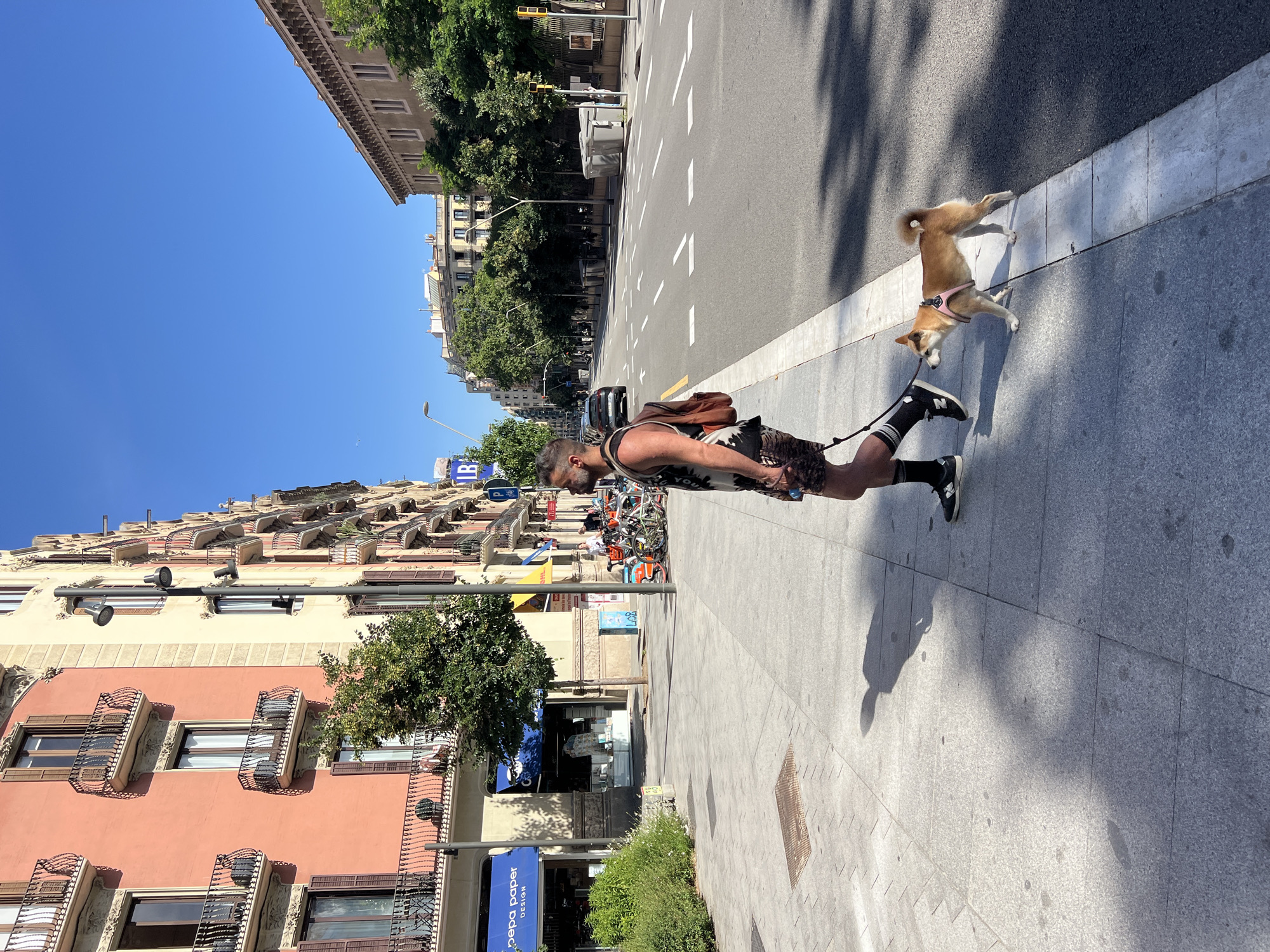 A man with short, graying hair, a beard, and tattoos on his arms is walking a small, tan dog on a leash. The man is wearing a black and white patterned tank top, patterned shorts, black socks with white stripes, and black sneakers. He has a brown backpack on his back. The dog is wearing a pink harness. They are walking on a gray, tiled sidewalk next to a street. The sidewalk has a white line separating it from the street. There are shadows on the sidewalk, indicating it is a sunny day.
The street has multiple lanes with white directional arrows painted on it. There are cars and trash bins visible on the side of the street. In the background, there are buildings with balconies and trees. The architecture suggests an urban European setting. The pink building on the left side of the image, with its ornate balconies and shuttered windows, is characteristic of Barcelona's Eixample district. The style of the streetlamps and the signage on the storefronts also align with this area of the city. Specifically, the presence of "pepa paper DESIGN" signage on the blue storefront is identifiable.