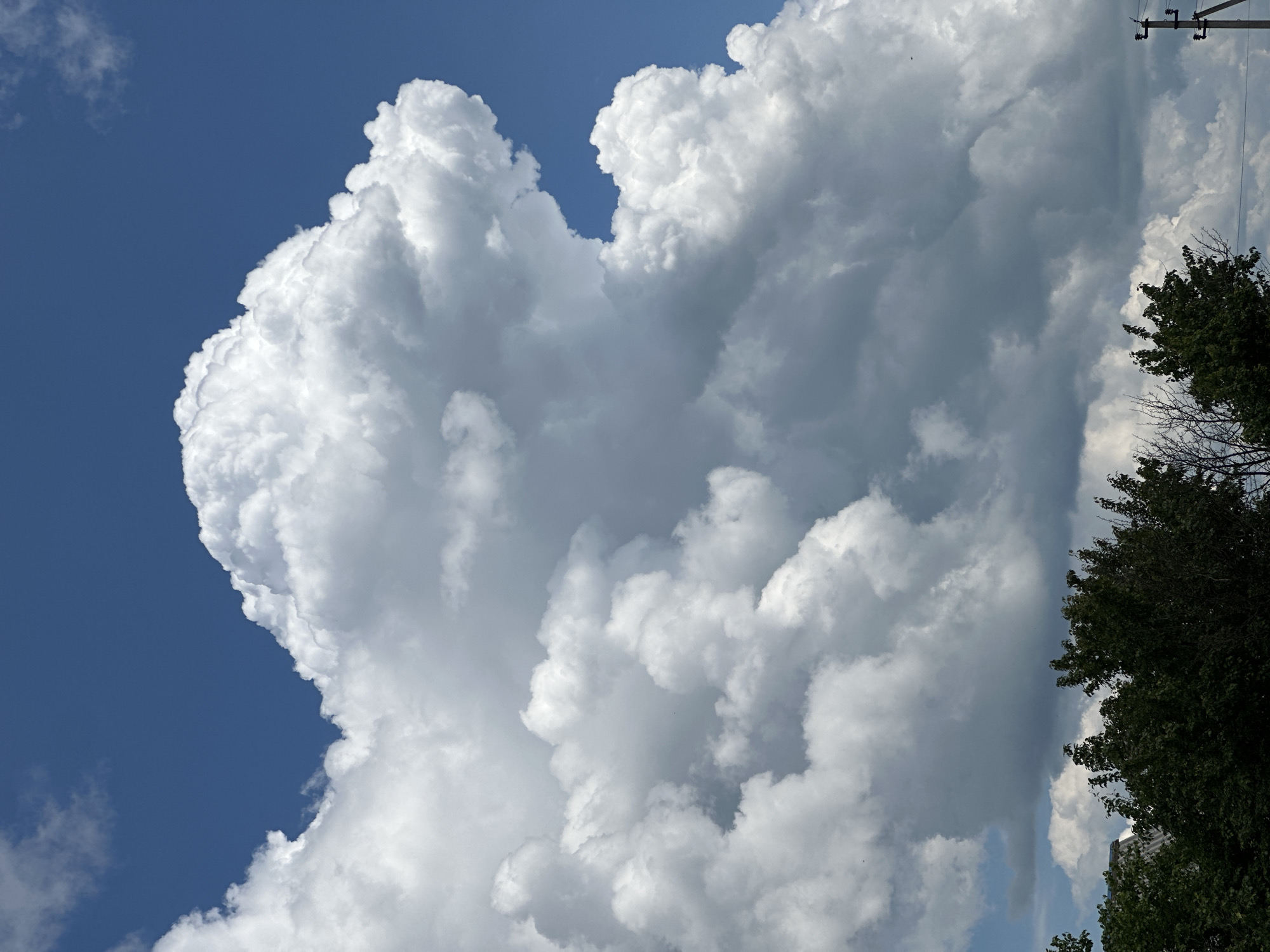 A landscape image taken from a low angle shows a vast expanse of sky filled with dramatic clouds. The sky is a deep blue, contrasting with the brilliant white and gray of the cumulus clouds that dominate the upper portion of the frame. These clouds are massive and billowing, with some areas appearing bright white, suggesting they are well-lit by the sun, while others are darker and more ominous, hinting at their depth and density.
In the lower part of the image, a dense line of dark green trees stretches across the horizon. Their foliage is lush and appears to be in full leaf, suggesting it is summertime. Peeking through the trees on the far left is a sliver of a gray roof, possibly belonging to a building. On the far right, a utility pole with wires is visible, indicating the presence of infrastructure. The overall impression is one of a dynamic sky over a natural and partially developed landscape.